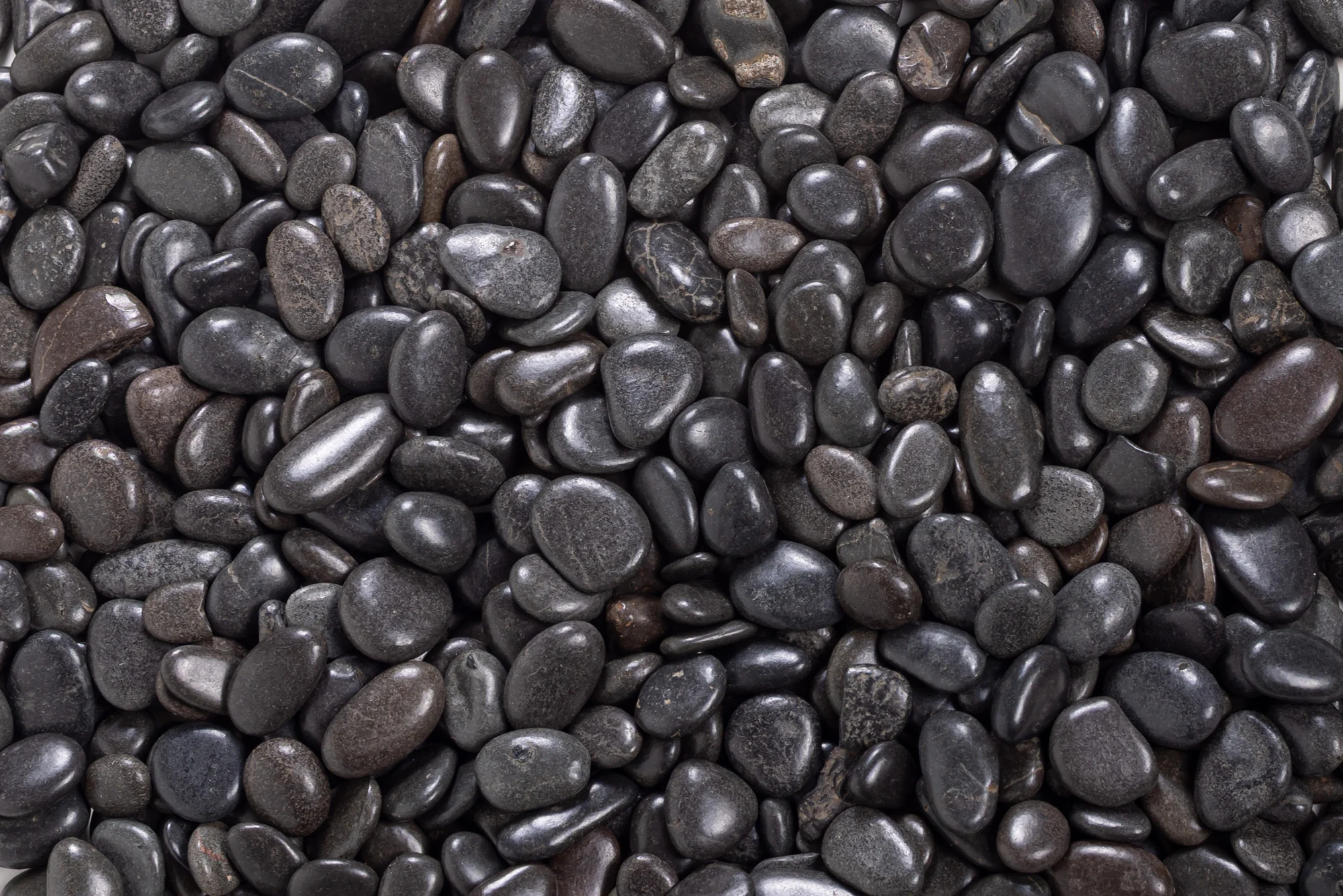 1 Pound of Black Rock  FA1011 - Image 5