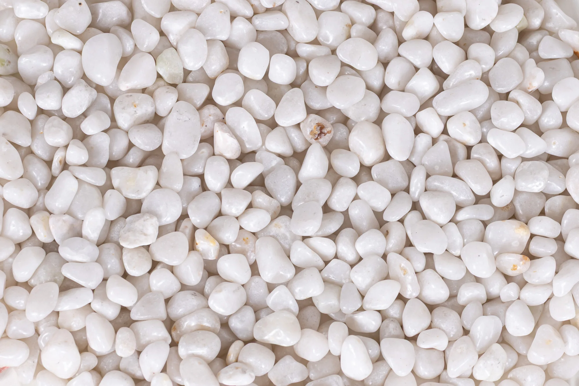 1 Pound of Polished White Rock - Image 4