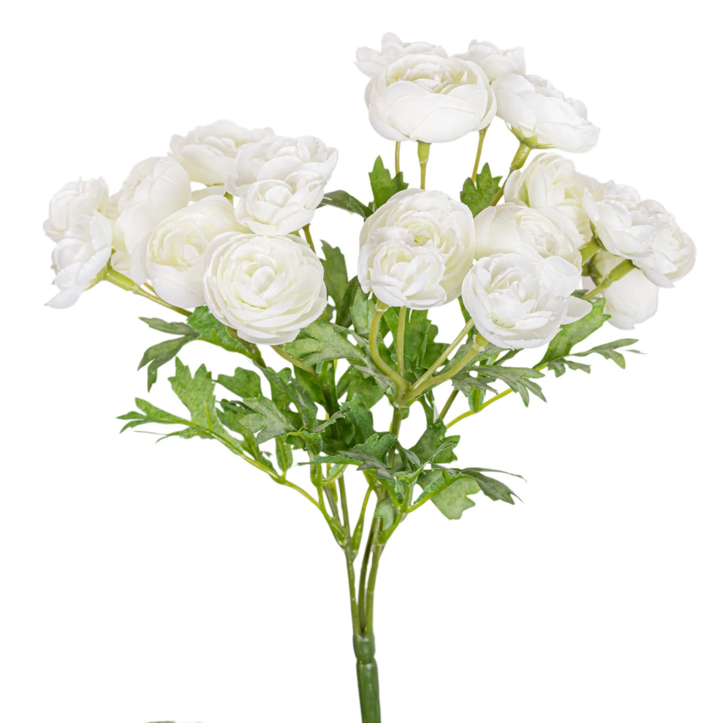 10.5" Mini Ranunculus Stem  FL1075