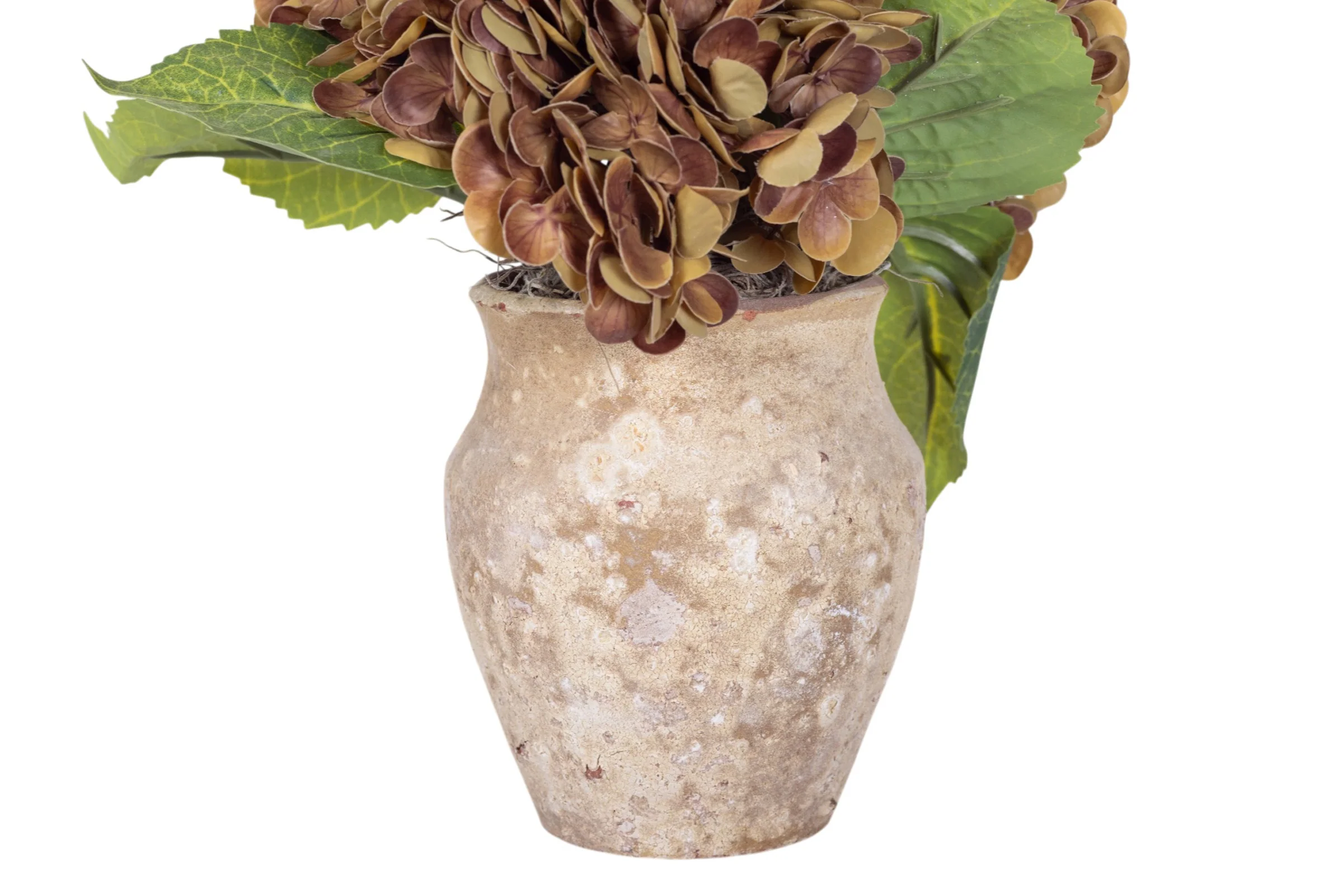 10" Titan Pot with Hydrangea Arrangement AR1946 - Image 3
