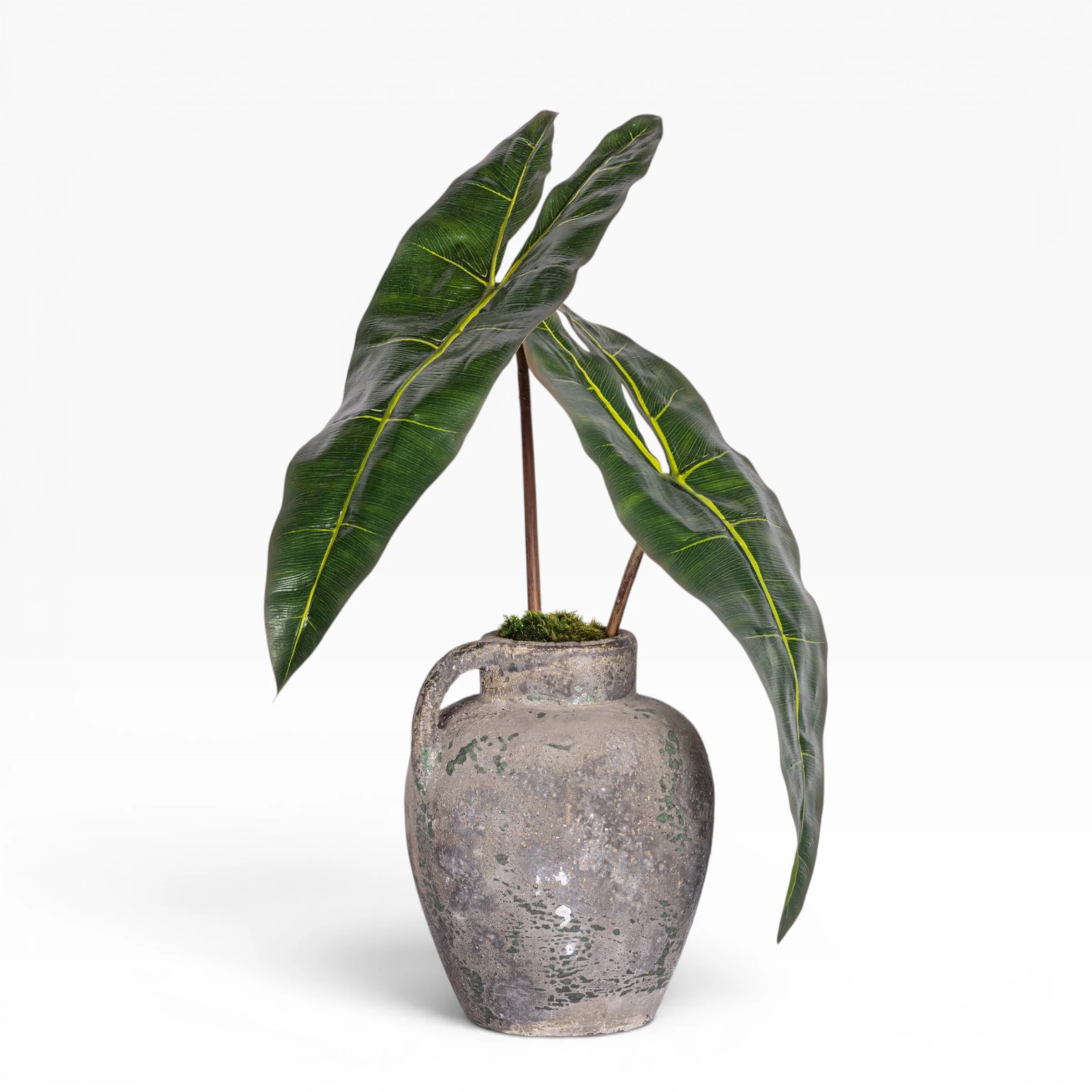 11" Wren Jug with Philodendron Arrangement AR1878