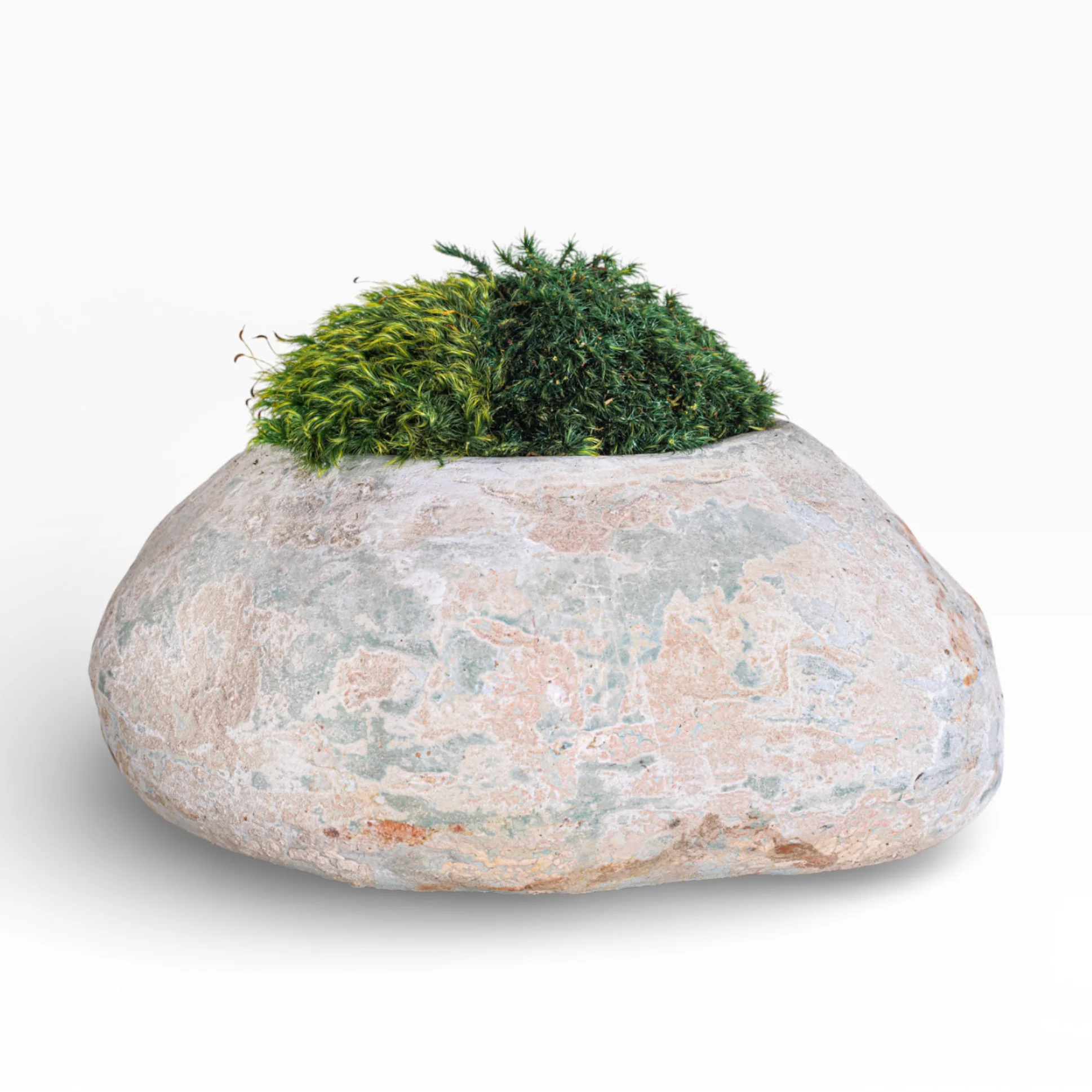 12" Skye Pot with Mood Moss Arrangement AR1898