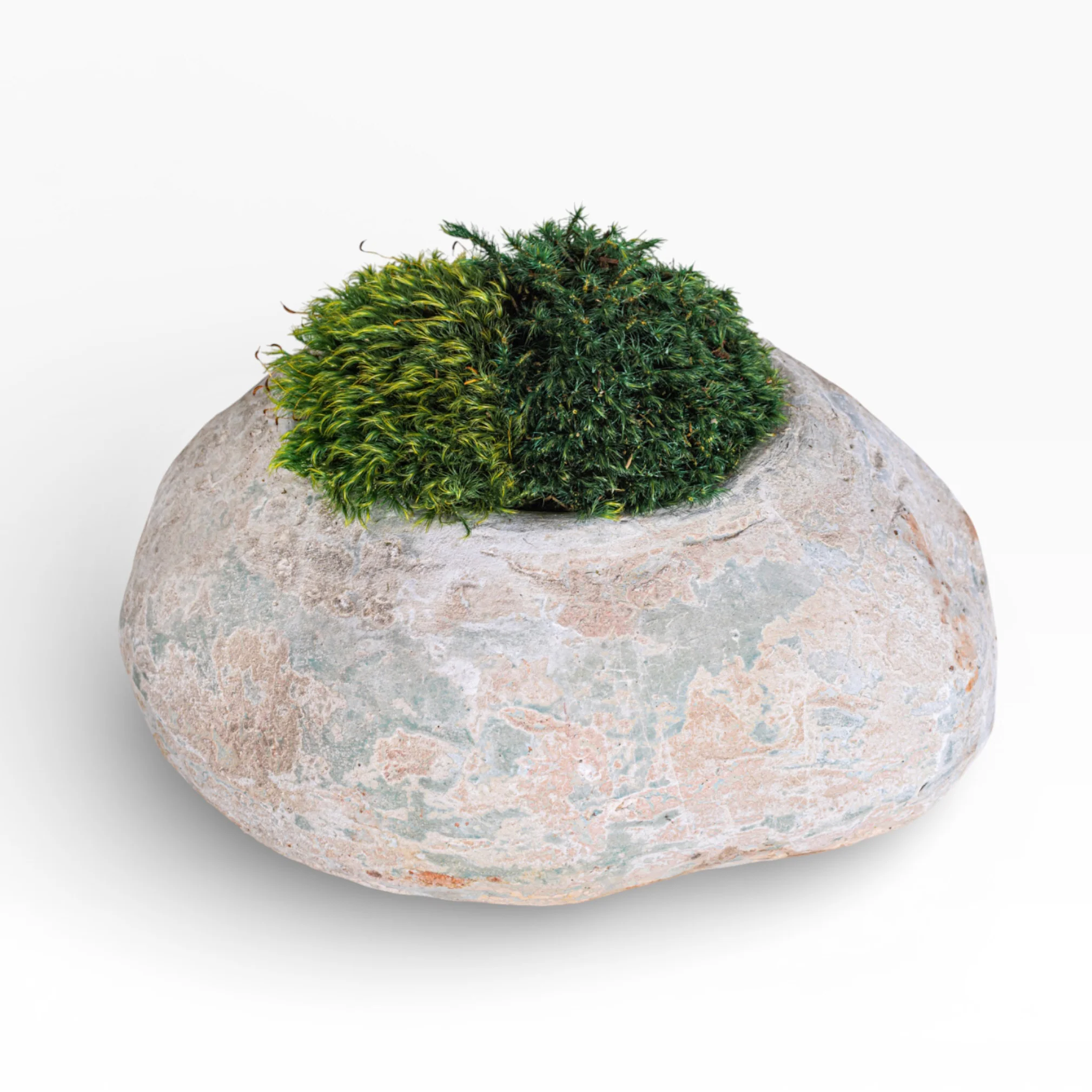 12" Skye Pot with Mood Moss Arrangement AR1898 - Image 2