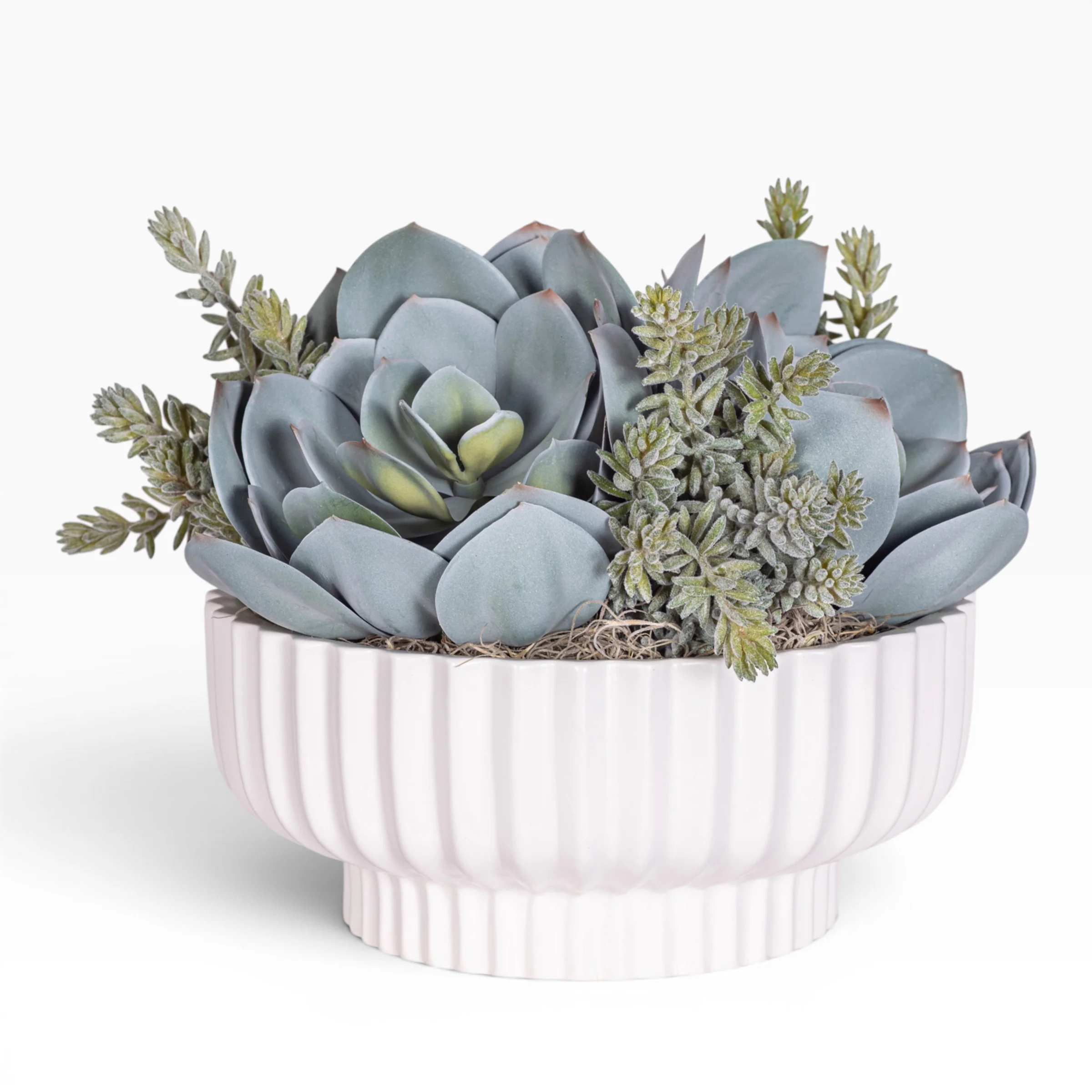 12" Wally Pot with Mixed Succulent Arrangement AR1302