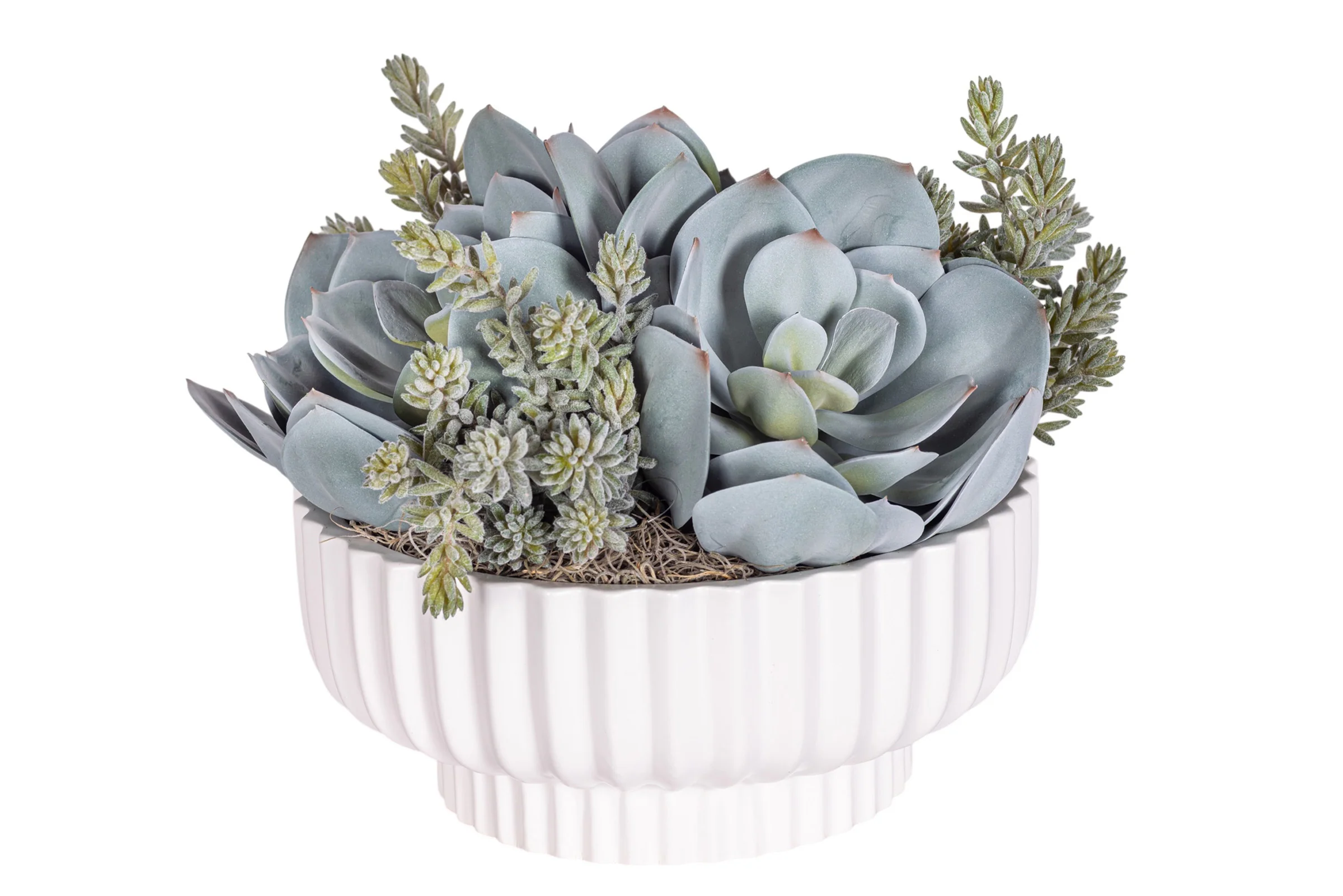 12" Wally Pot with Mixed Succulent Arrangement AR1302 - Image 2