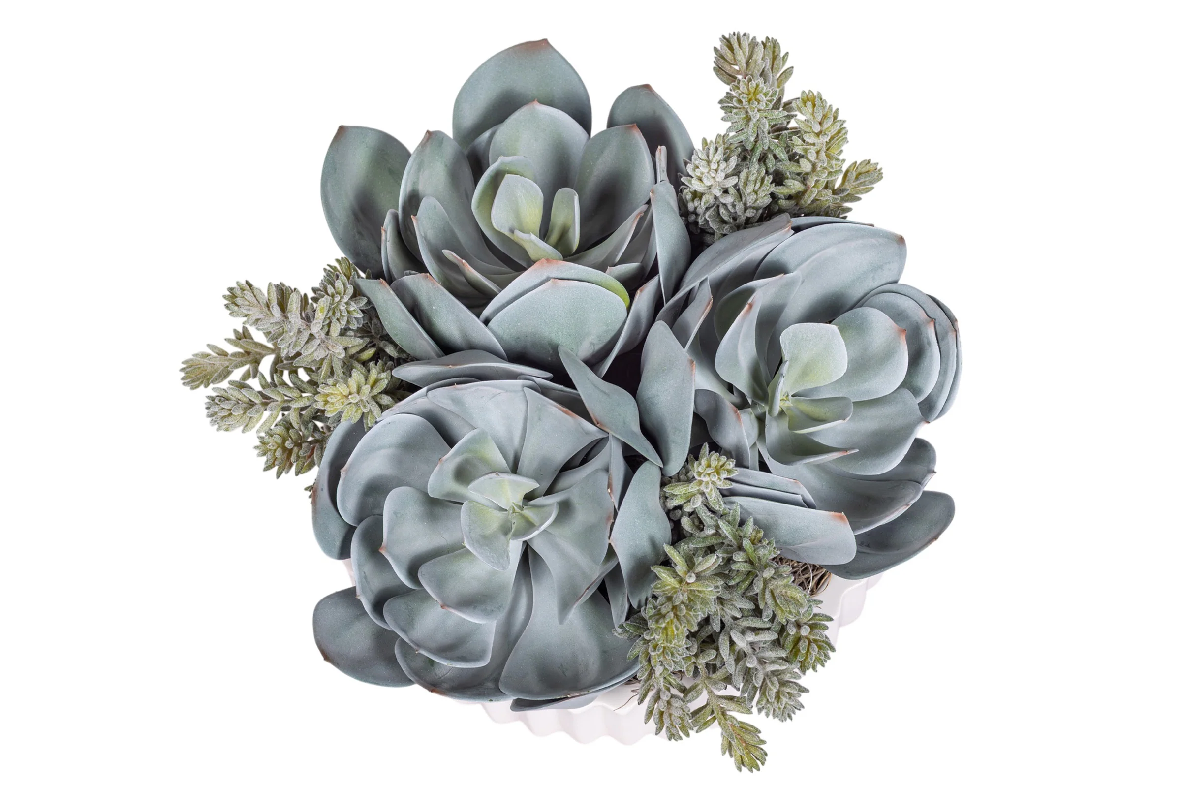 12" Wally Pot with Mixed Succulent Arrangement AR1302 - Image 3