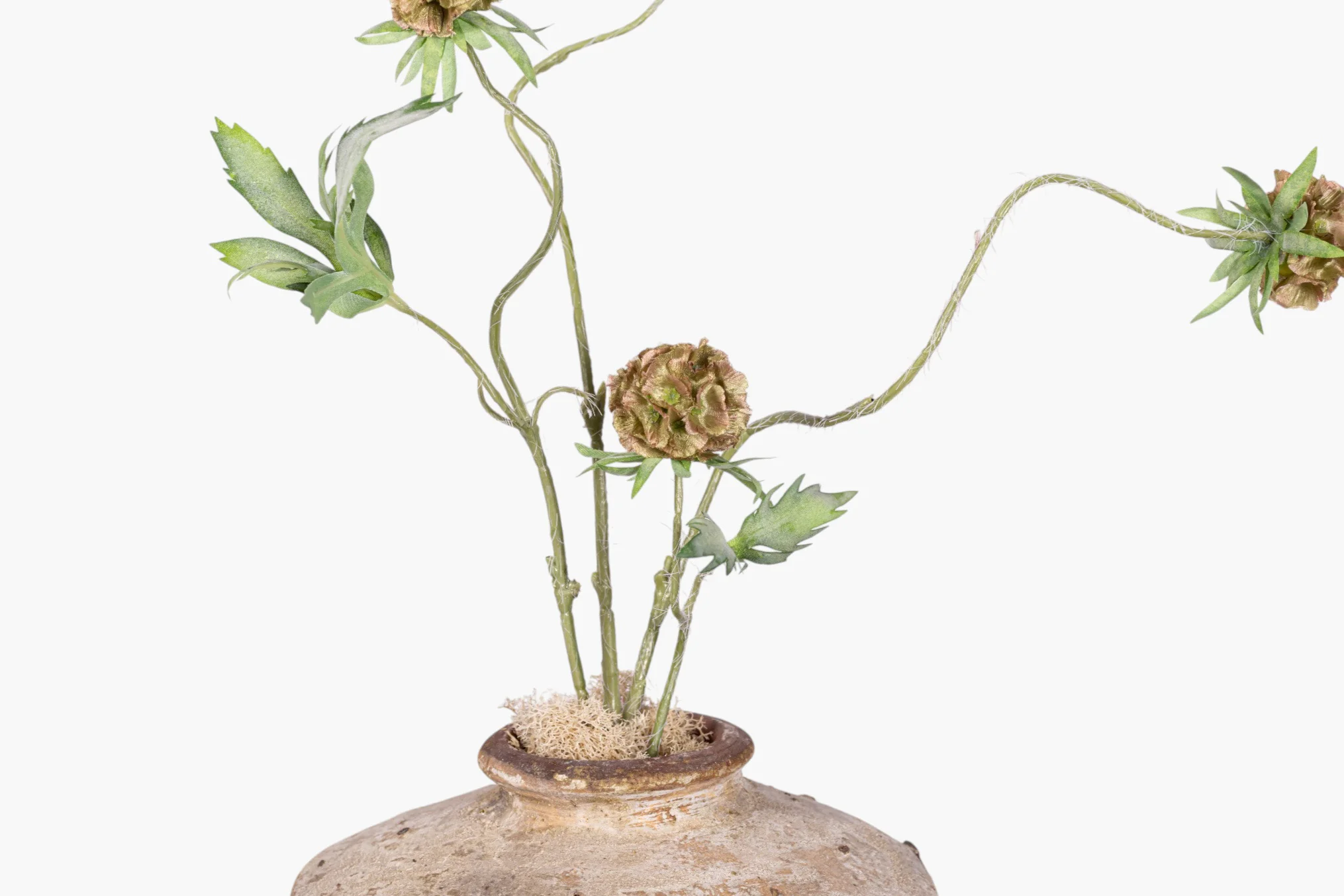 13" Loen Pot with Scabiosa Stem Arrangement AR1993 - Image 2