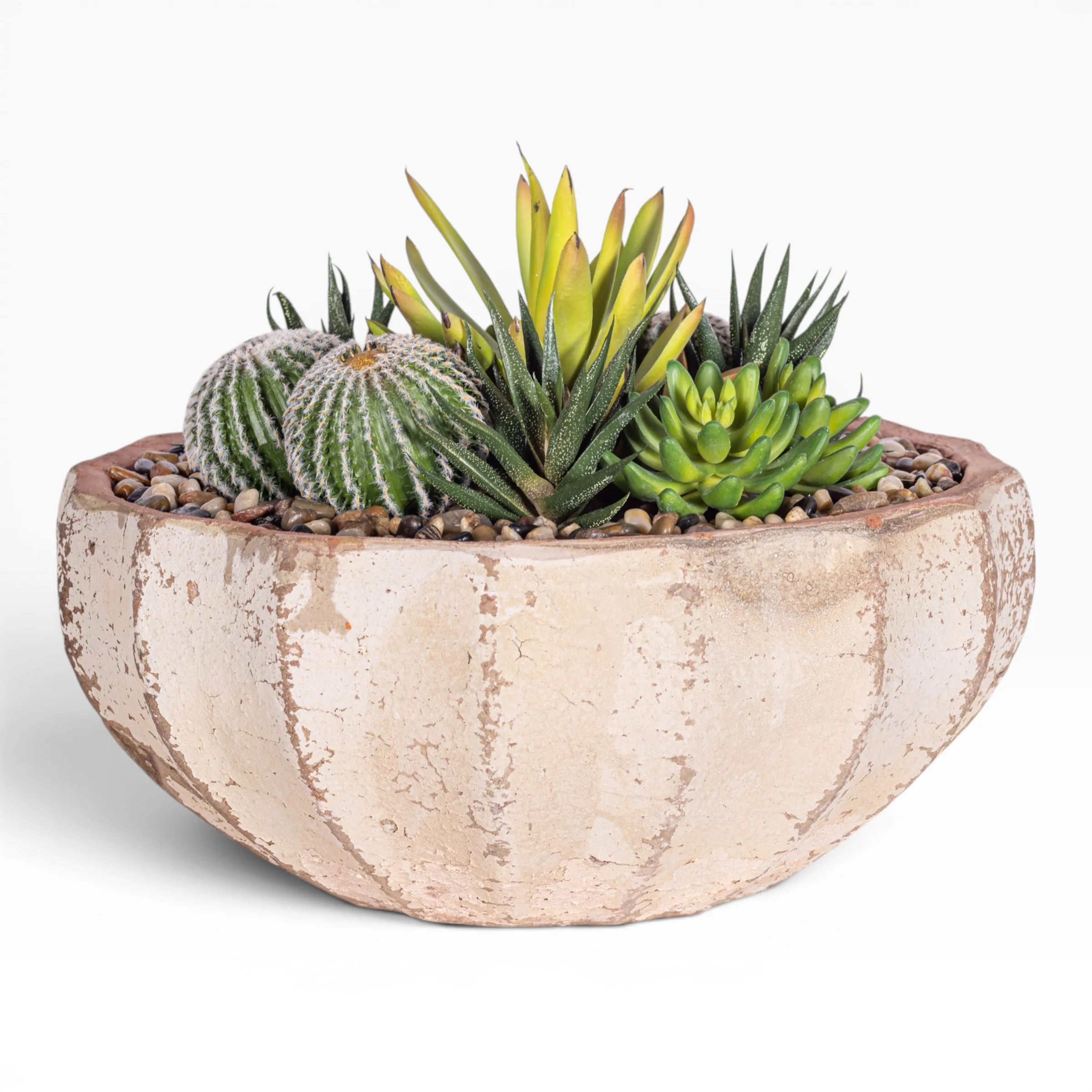 14" Ansel Bowl with Mixed Succulent Arrangement AR1612