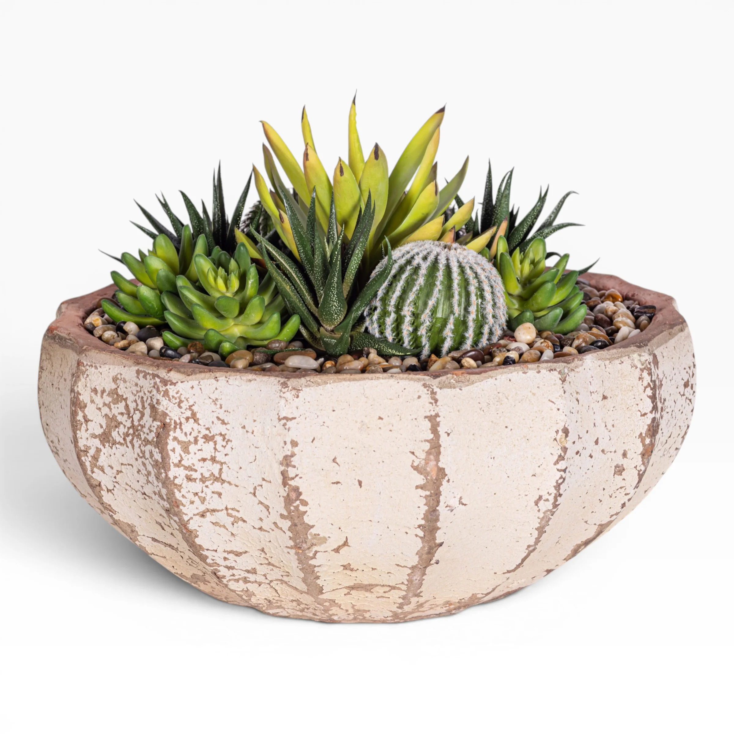 14" Ansel Bowl with Mixed Succulent Arrangement AR1612 - Image 2