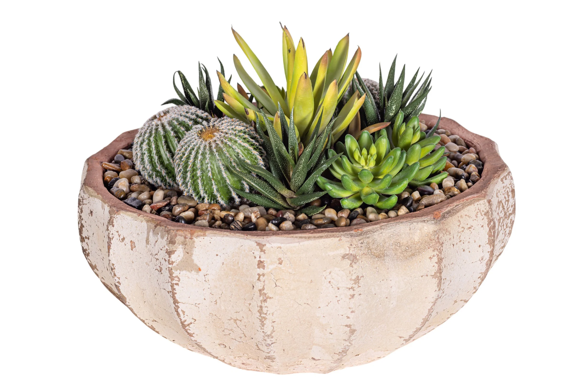 14" Ansel Bowl with Mixed Succulent Arrangement AR1612 - Image 3