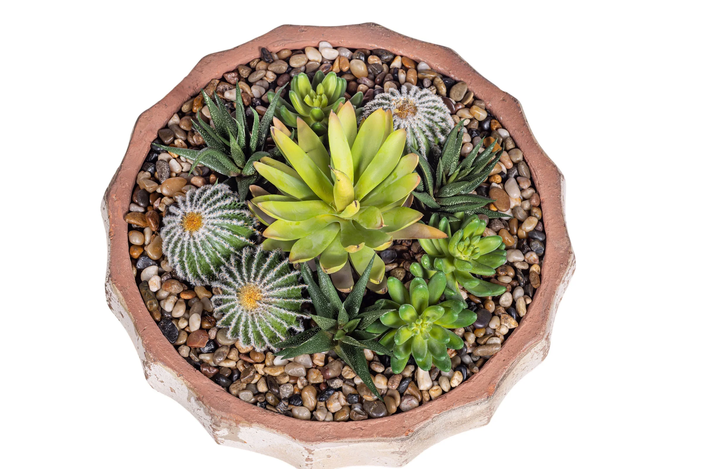 14" Ansel Bowl with Mixed Succulent Arrangement AR1612 - Image 5