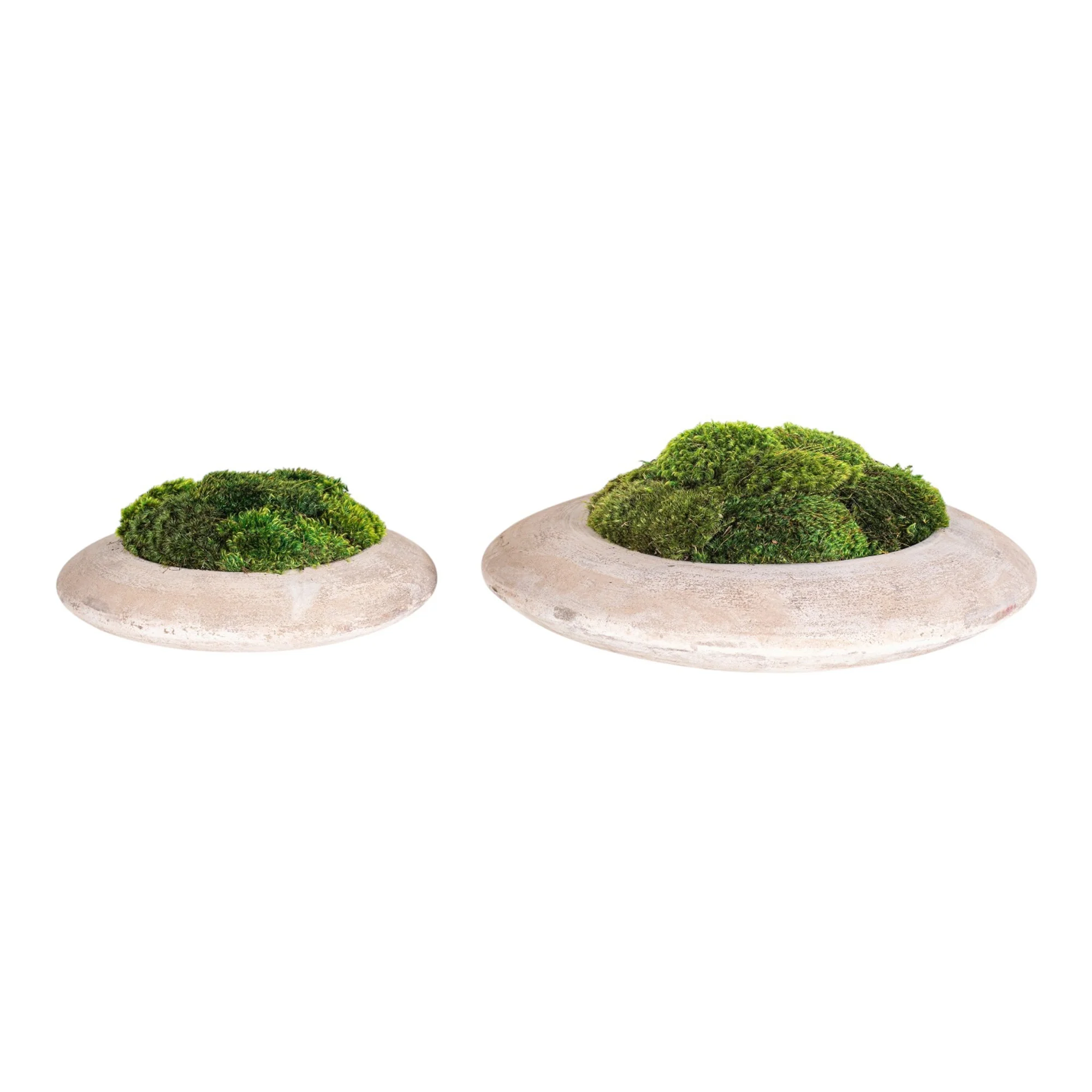 14" Flying Saucer with Mood Moss AR1181 - Image 3