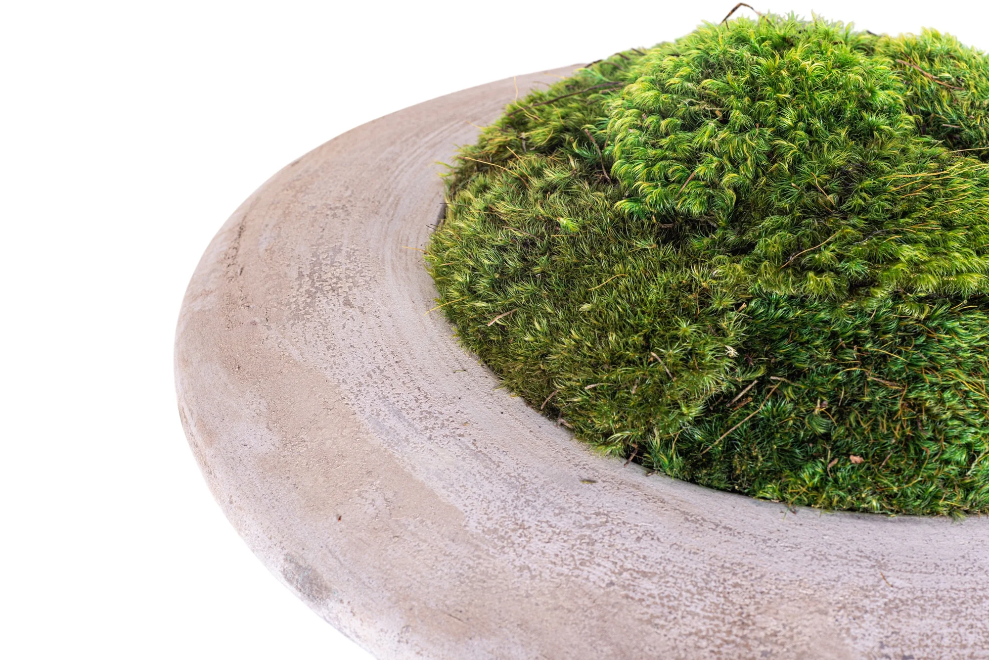 14" Flying Saucer with Mood Moss AR1181 - Image 4
