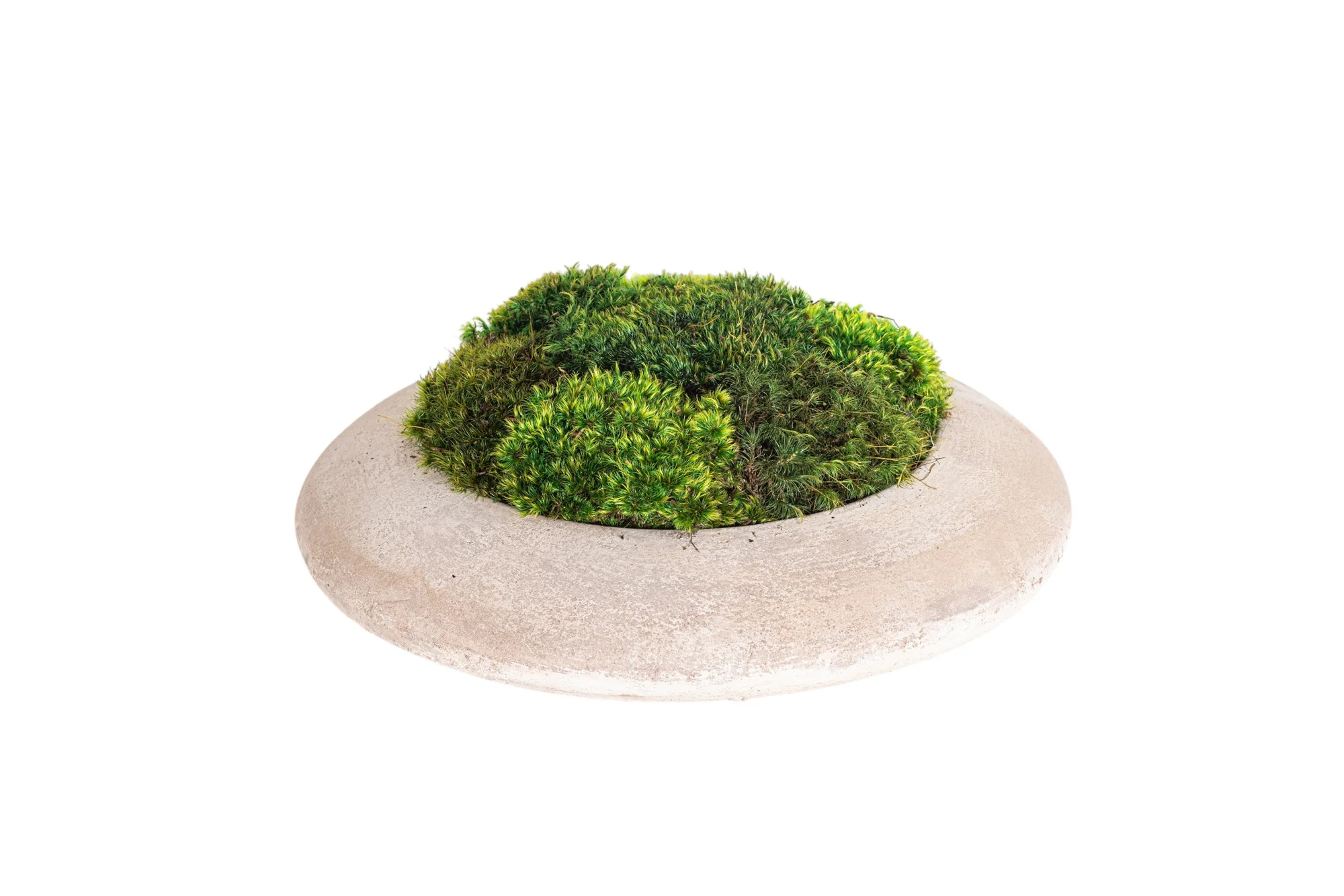 14" Flying Saucer with Mood Moss AR1181 - Image 5