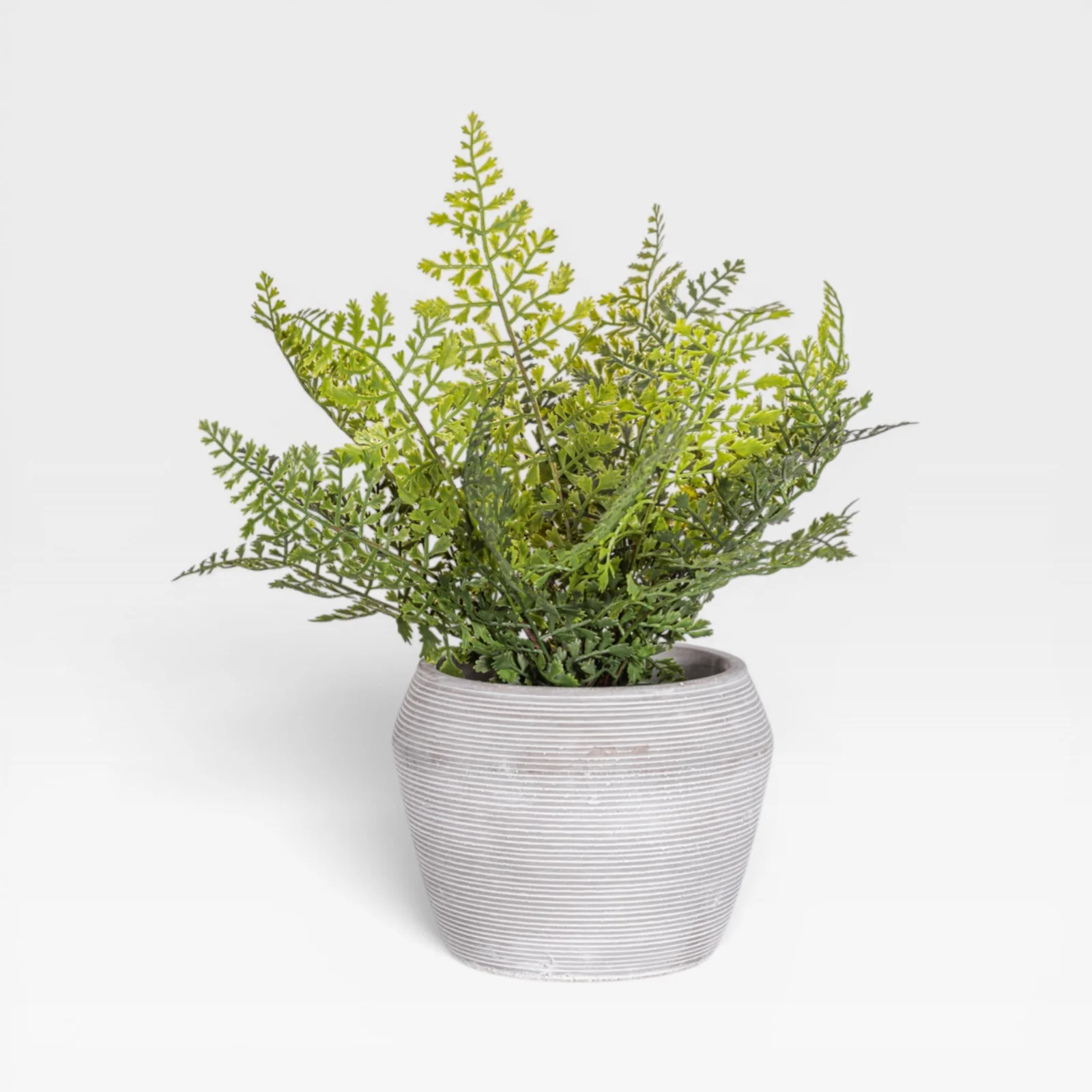 15" Fern Arrangement AR1931 - Image 2