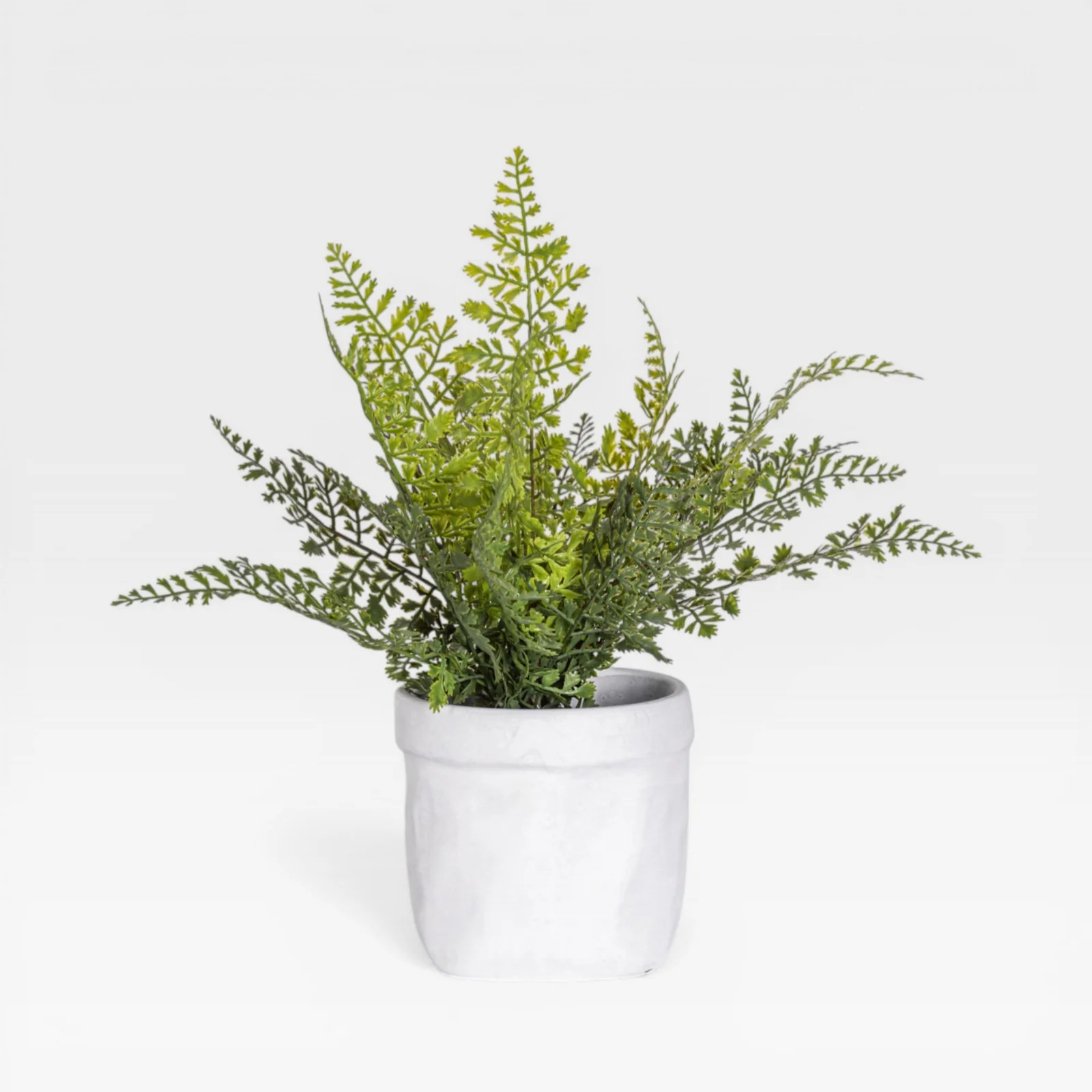 15" Fern Arrangement AR1931 - Image 3