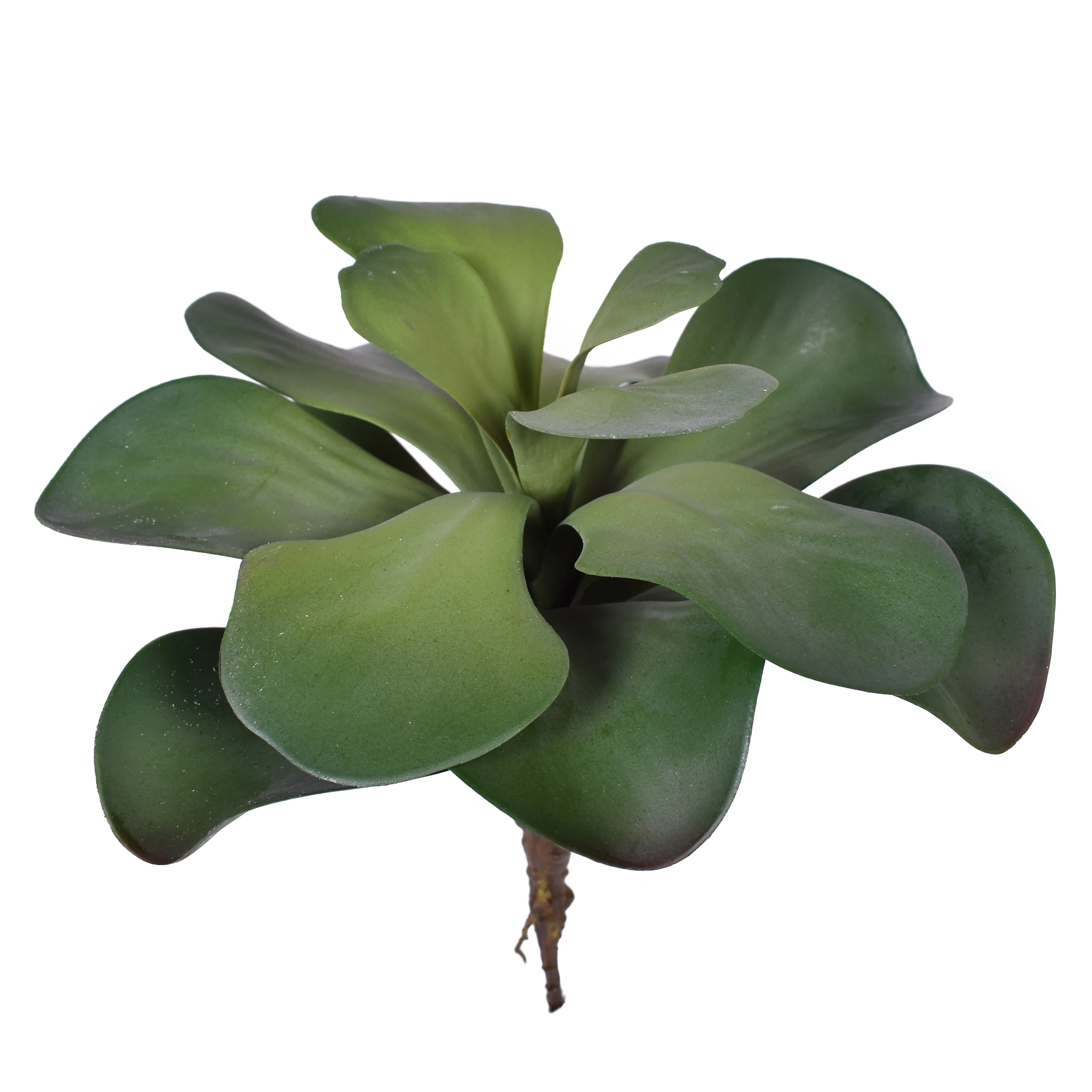 15" Houseleek Pick - UV Treated SF1080UV