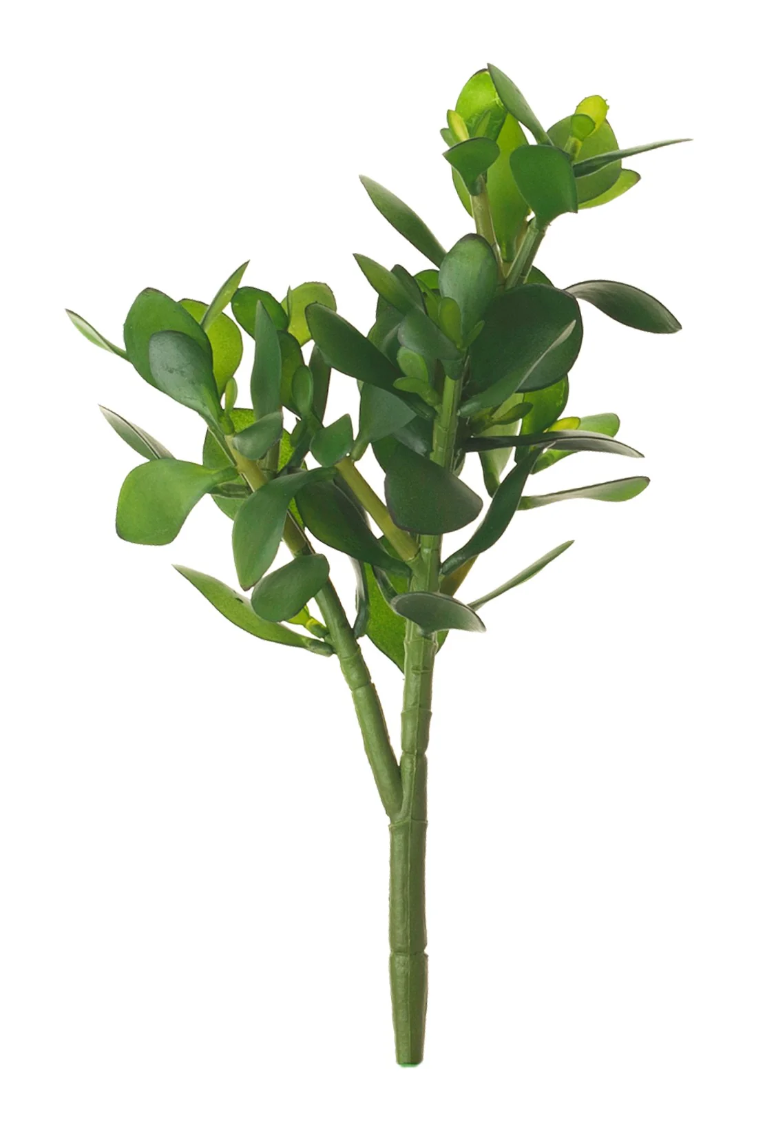 15" Jade Stem  JA1011