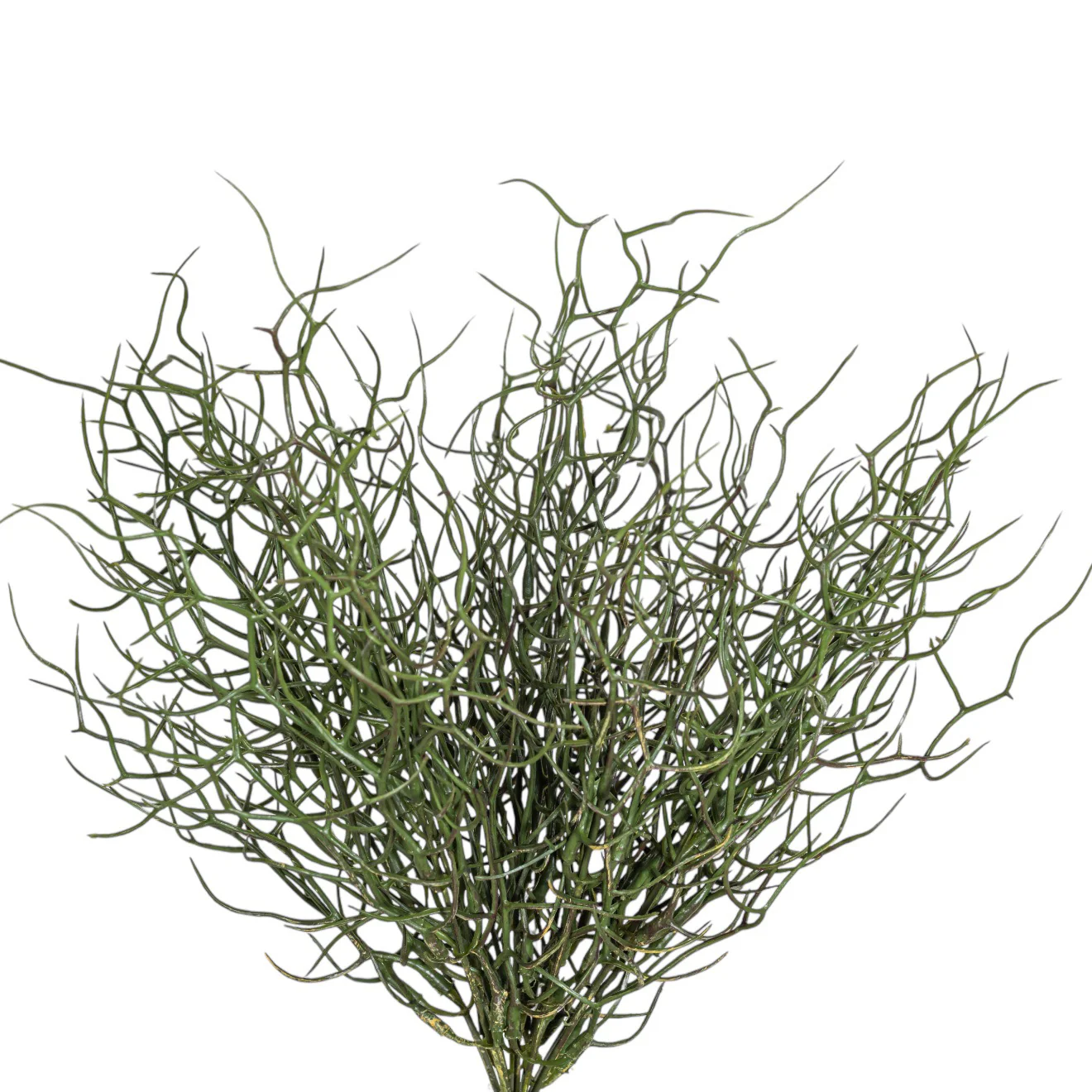 16" Grass Bush - UV Treated GS1038UV - Image 2