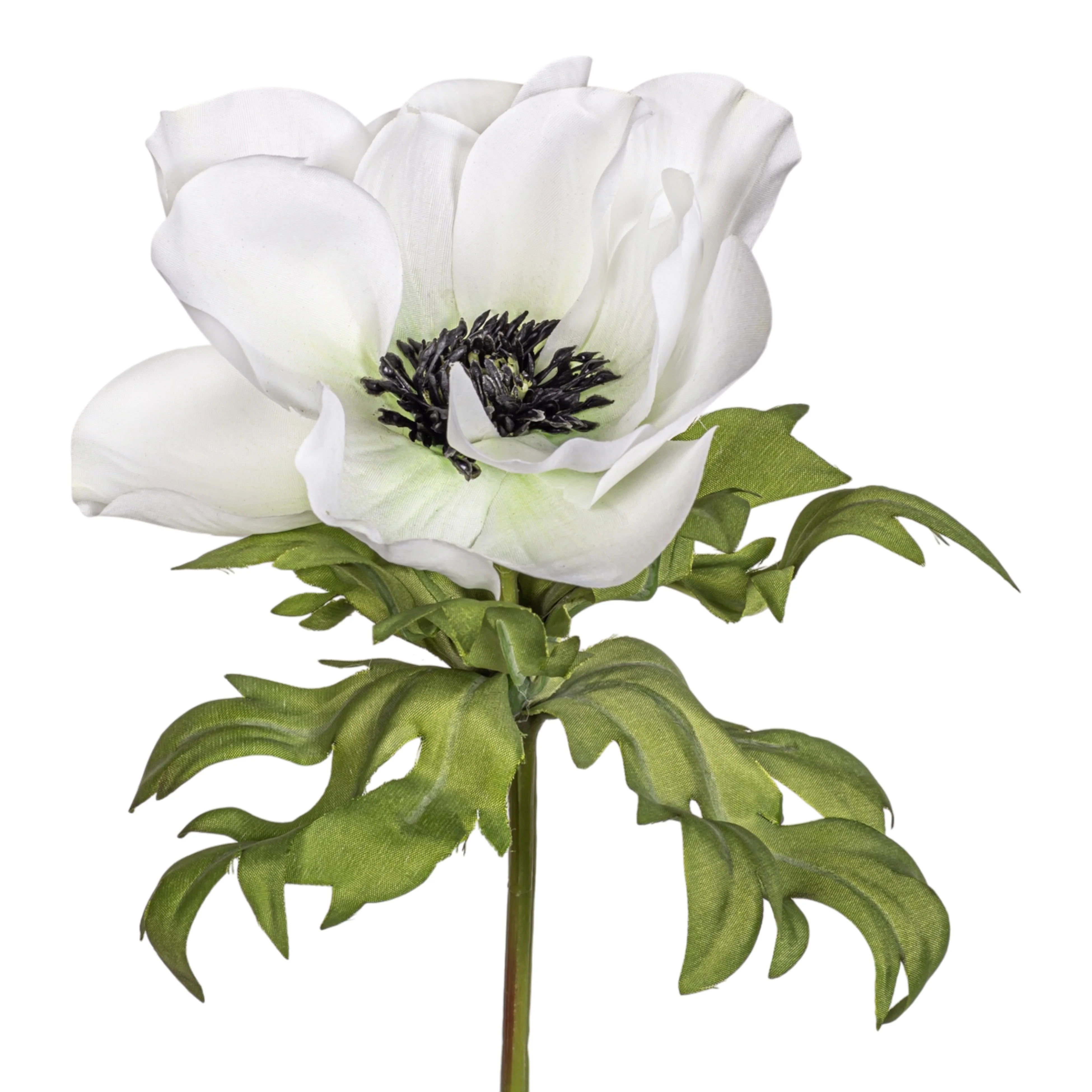 17.5" Anemone Stem  FL1070 - Image 2