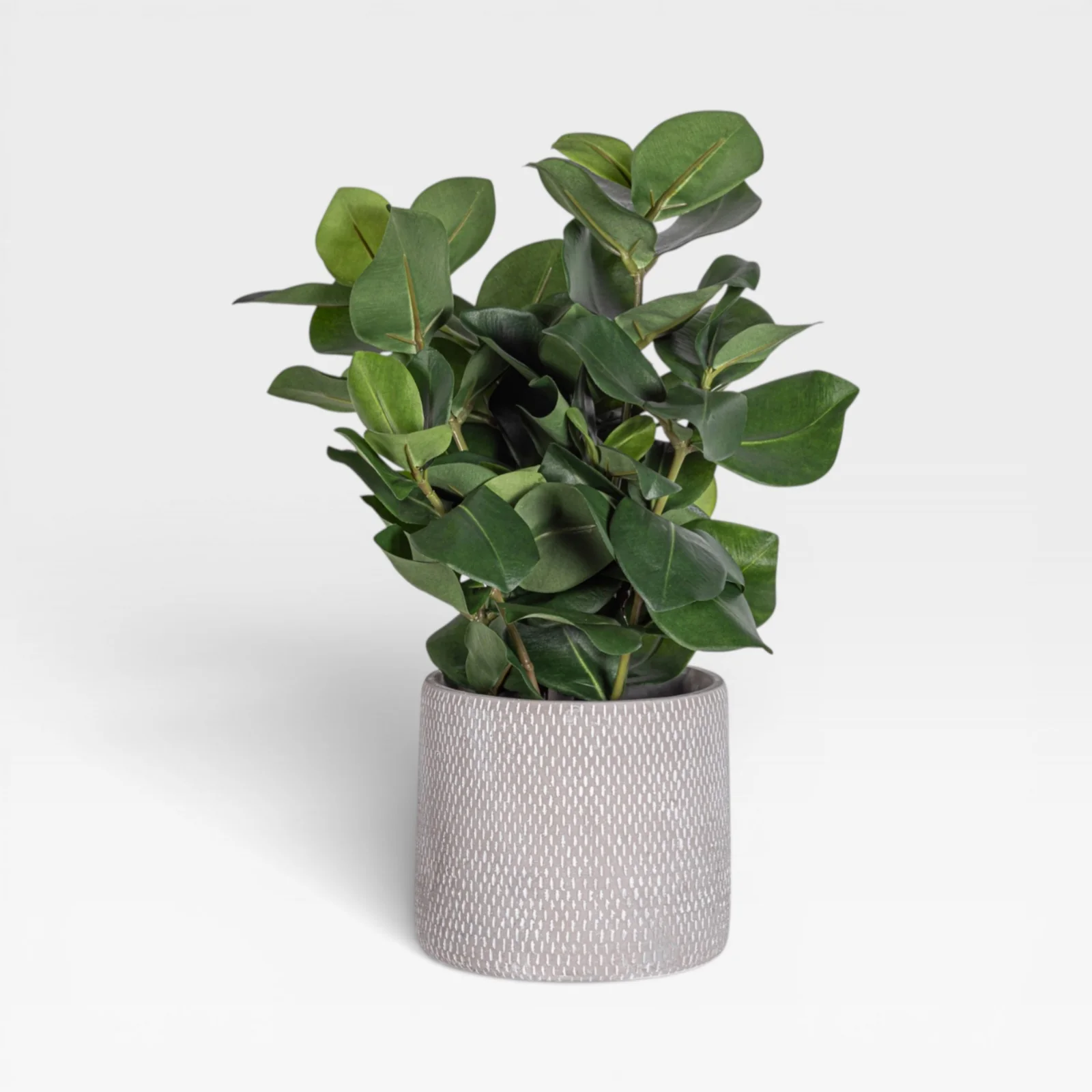 18" Clusia Arrangement AR1934 - Image 2
