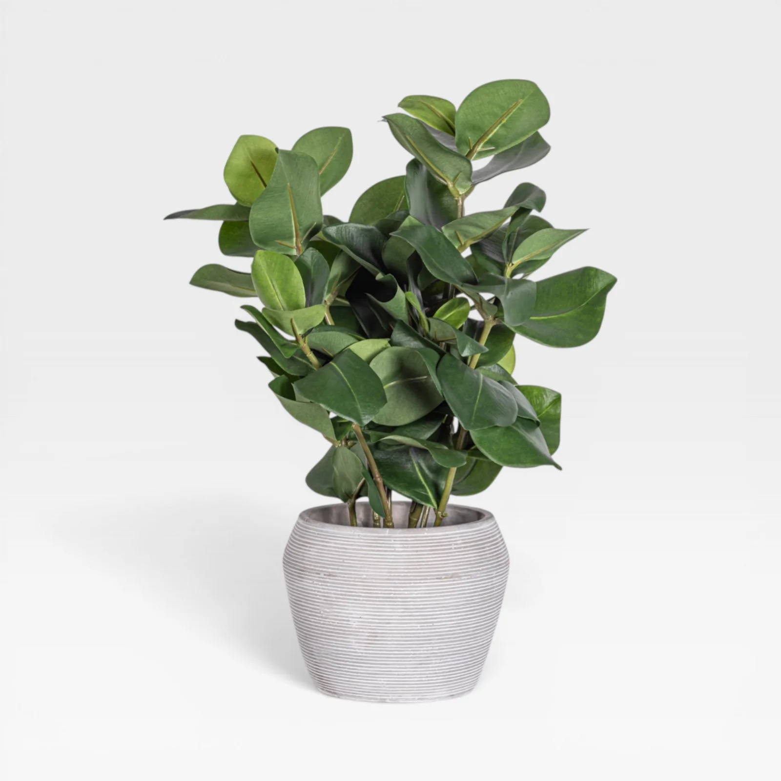 18" Clusia Arrangement AR1934 - Image 3