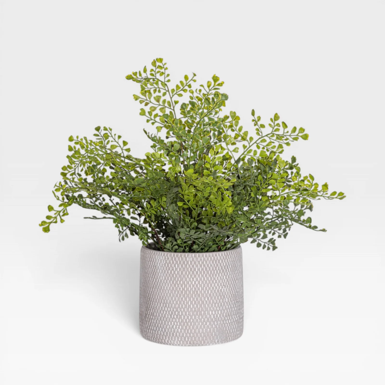 18" Fern Arrangement AR1932 - Image 2