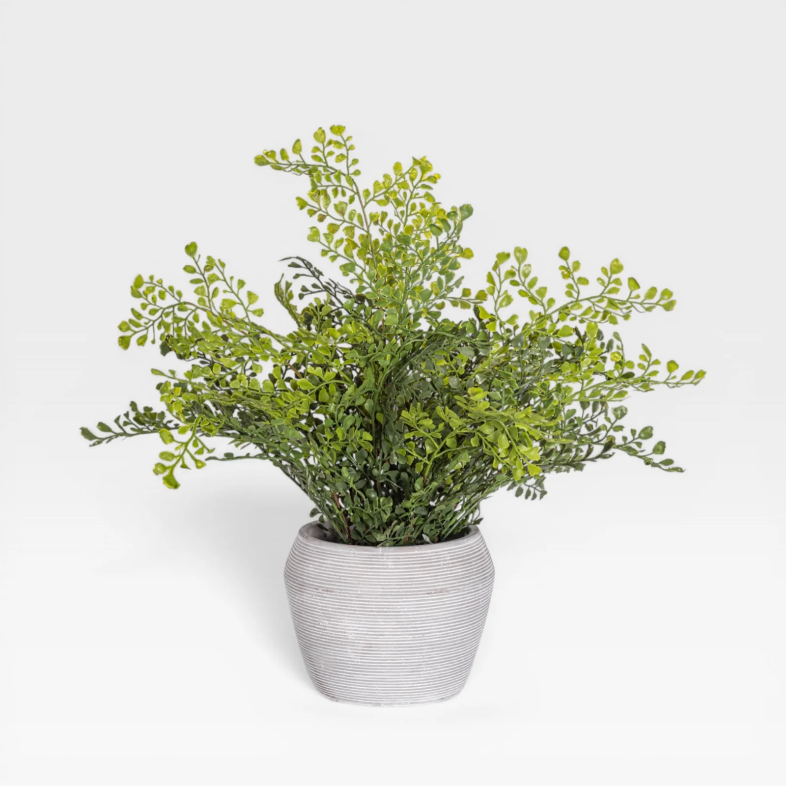 18" Fern Arrangement AR1932 - Image 3