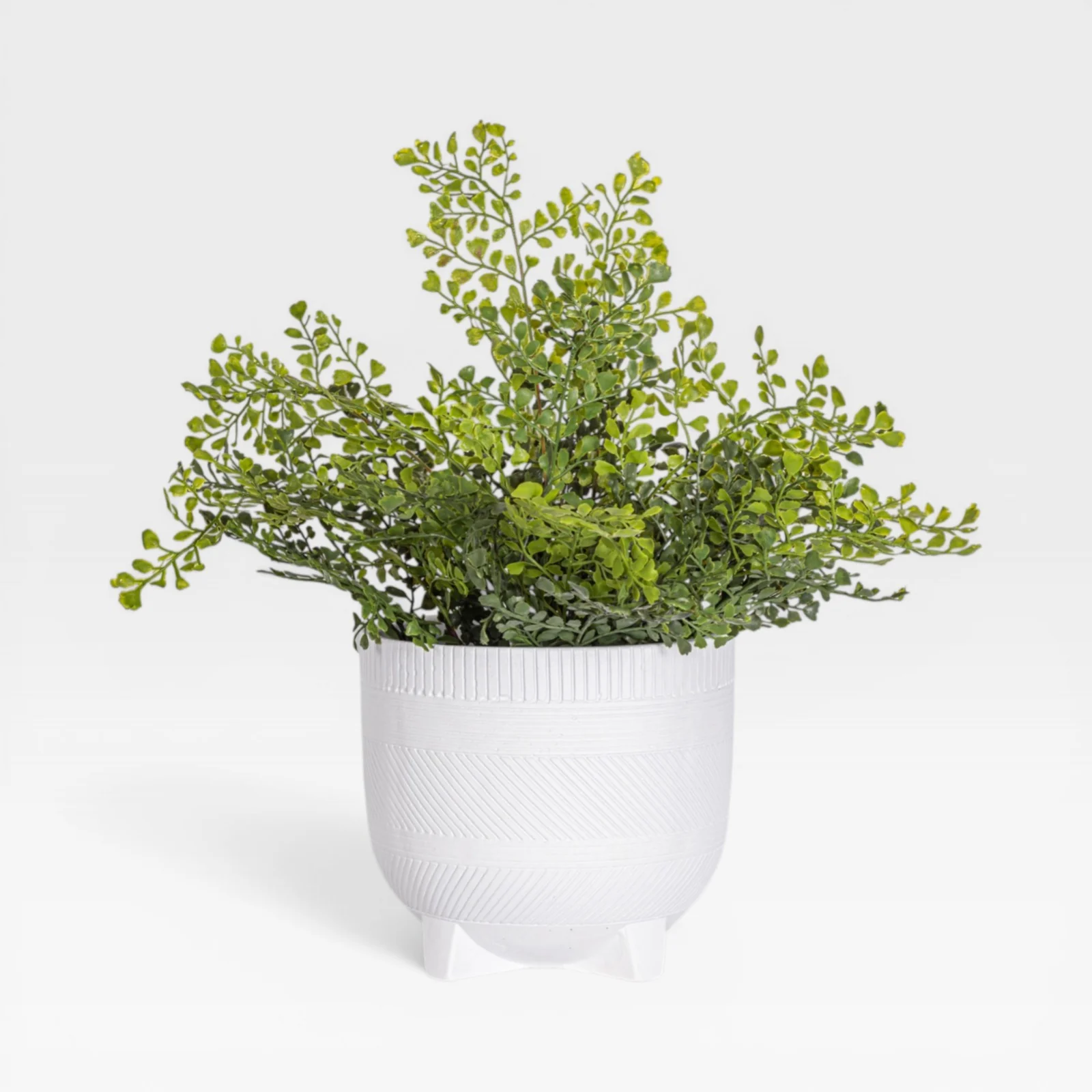18" Fern Arrangement AR1932 - Image 4