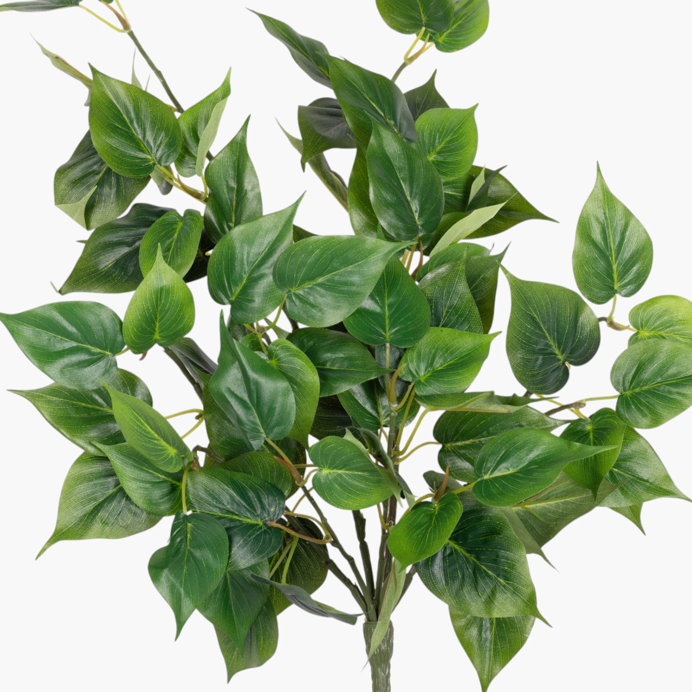 20" Philodendron Leaf Hanging Bush ST1244 - Image 2