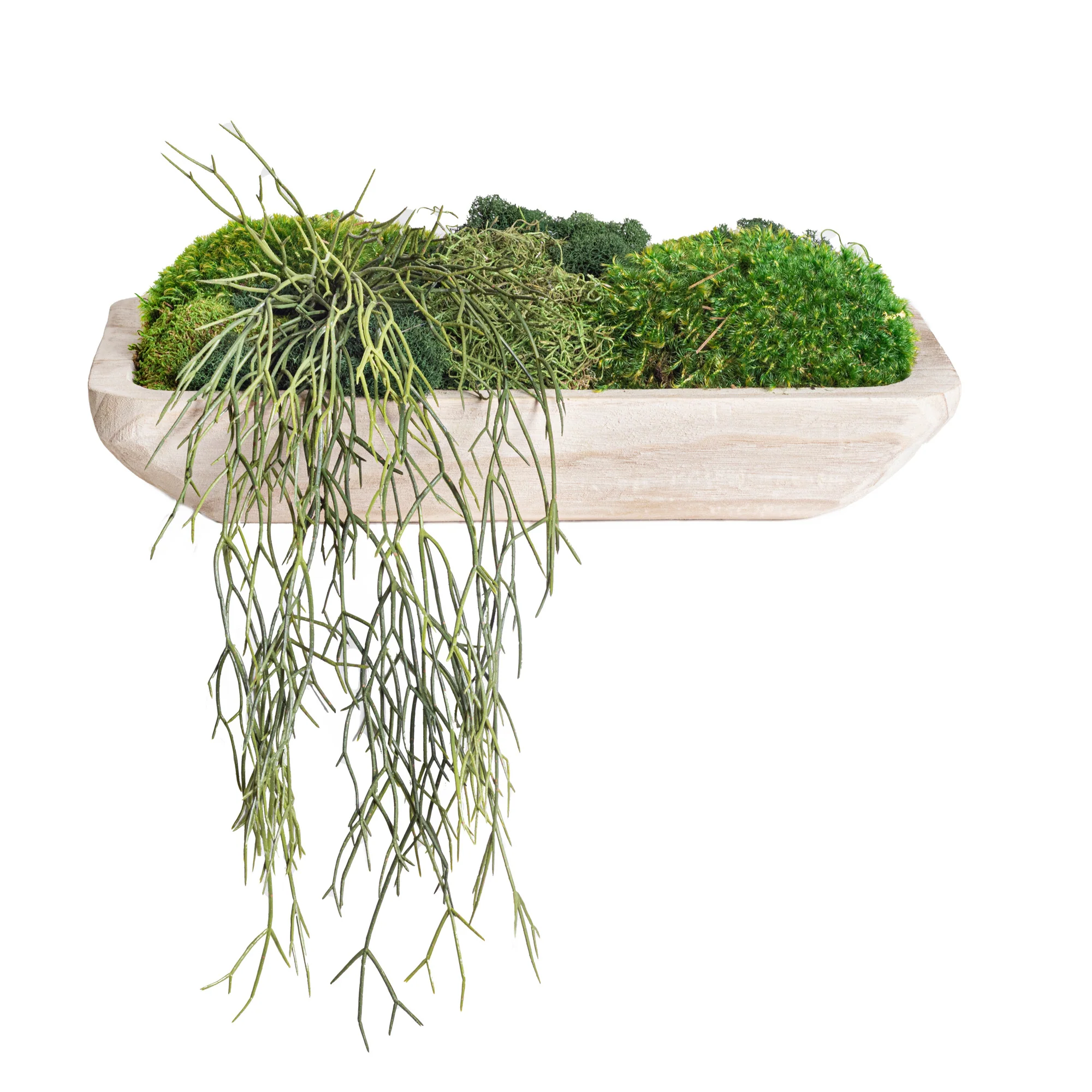 20" Sedona Wood Tray with Mixed Moss and Trailing Plant AR1136 - Image 2