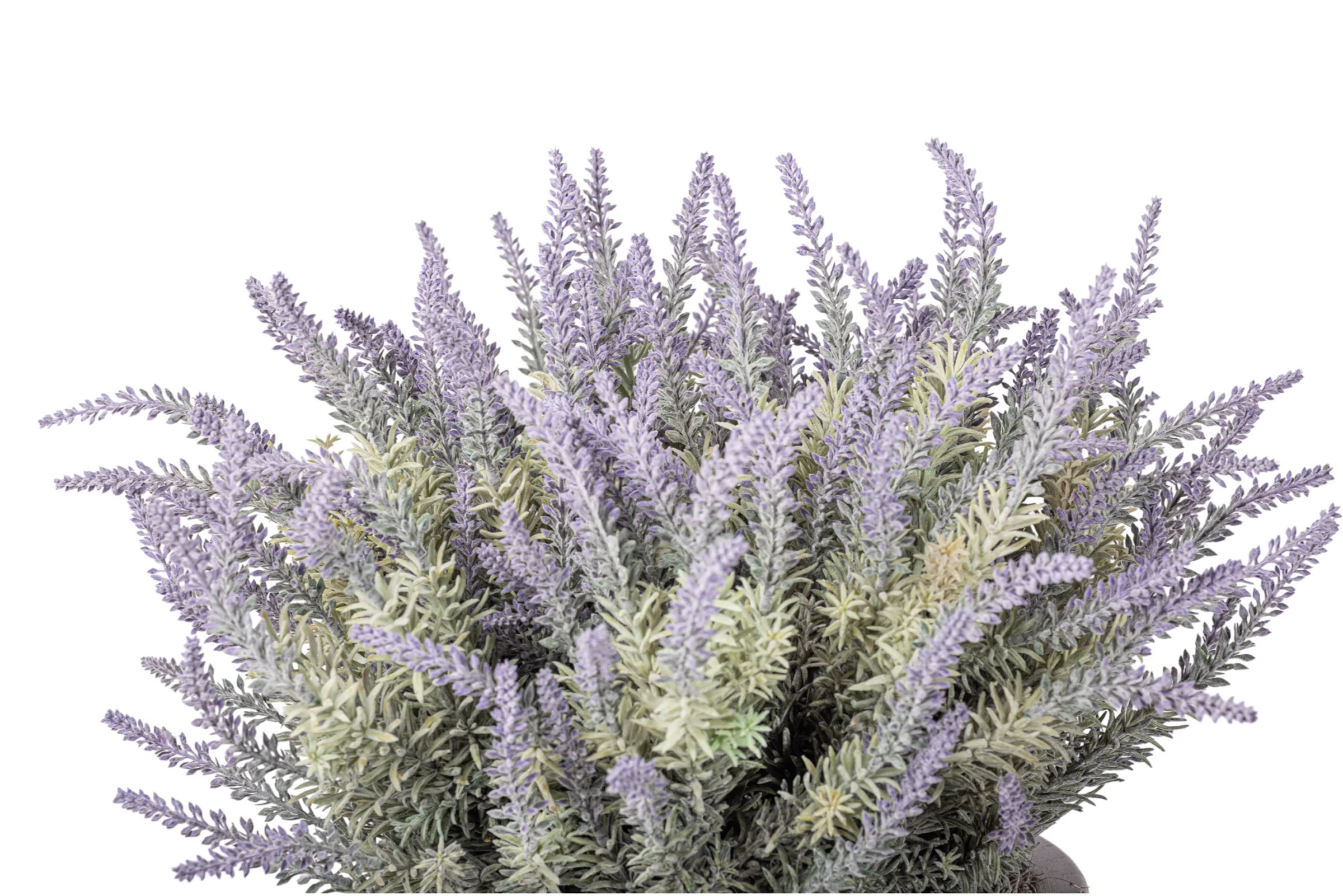 22" Enzo Bowl with Lavender Arrangement AR1945 - Image 3