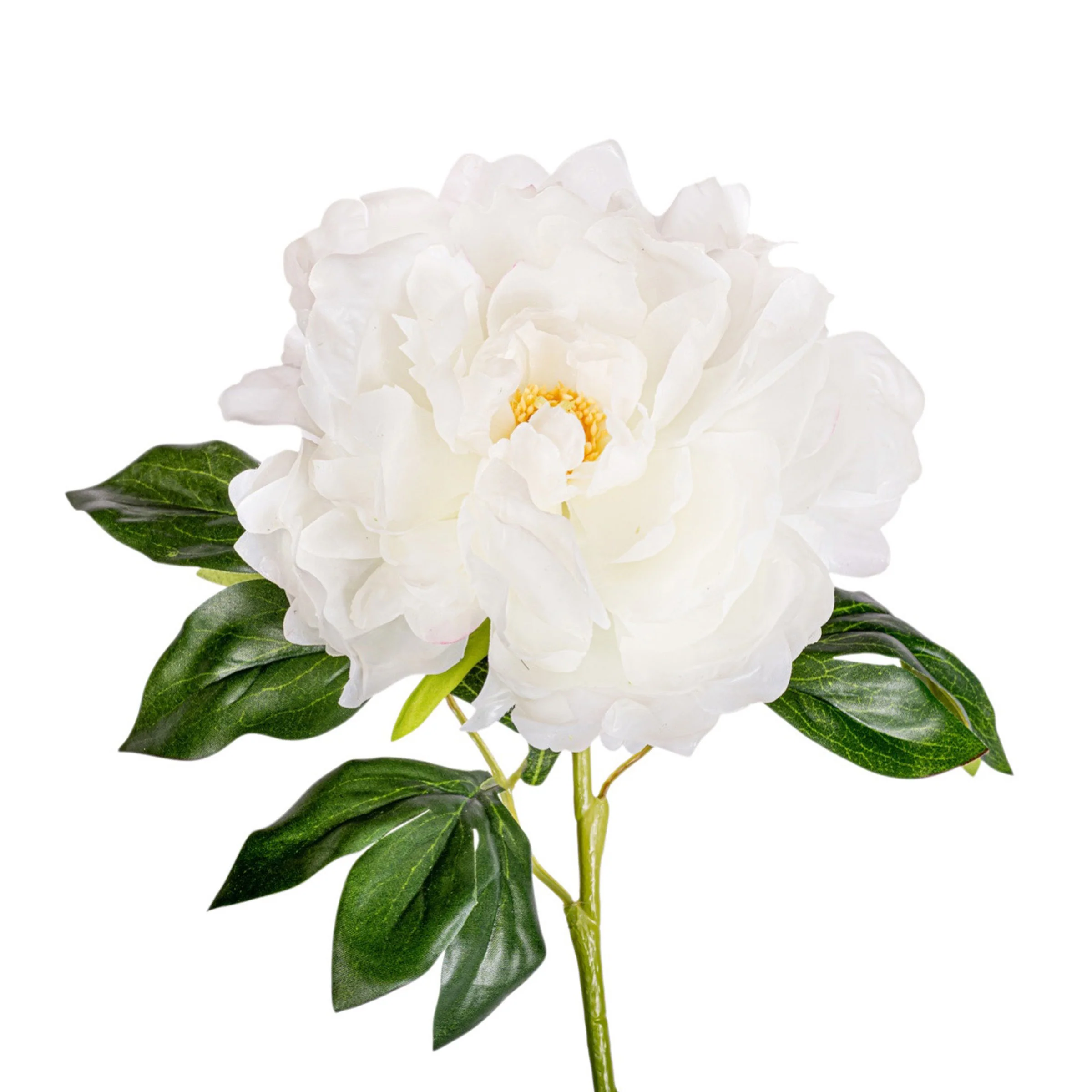 24" Peony Stem - White  FL1096