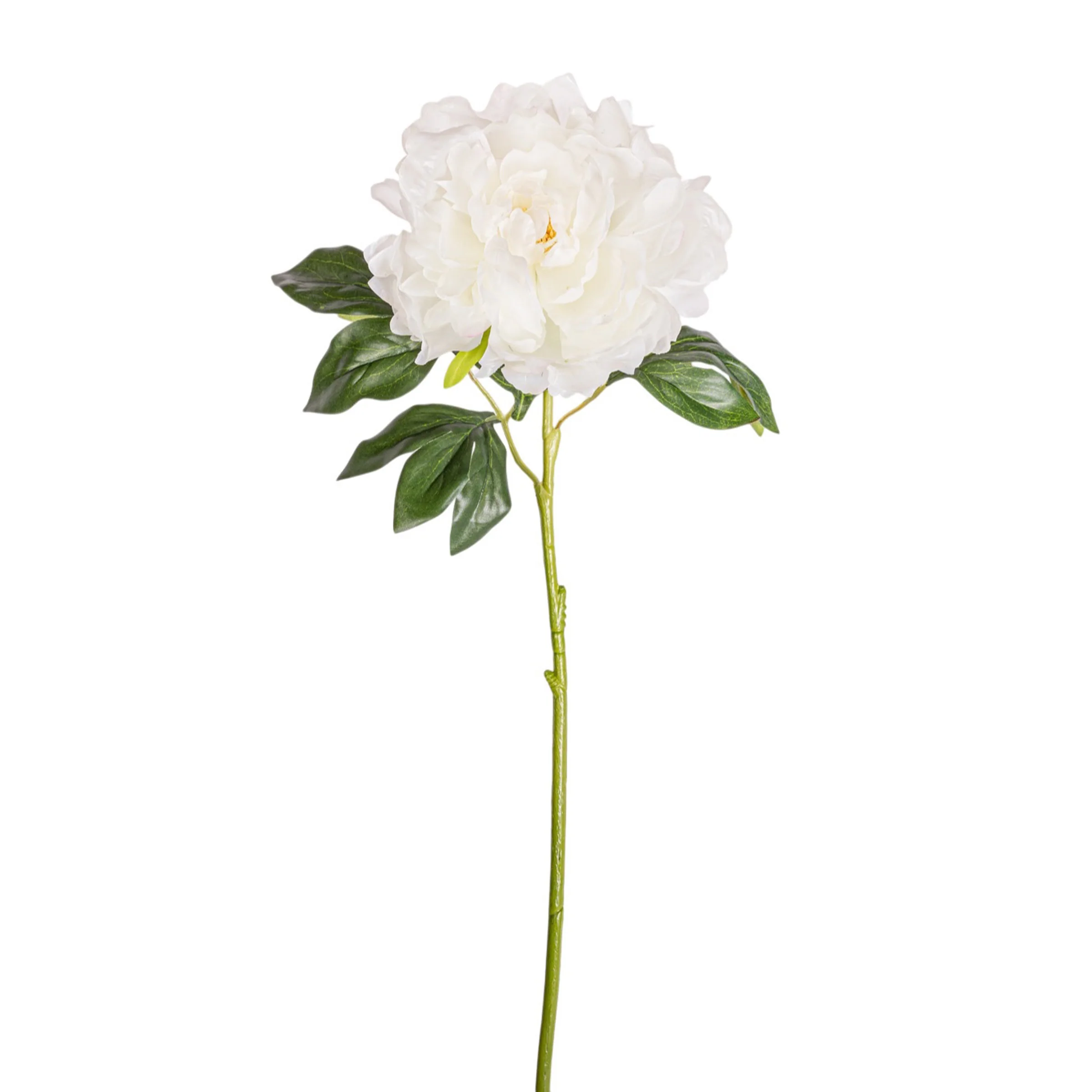 24" Peony Stem - White  FL1096 - Image 2