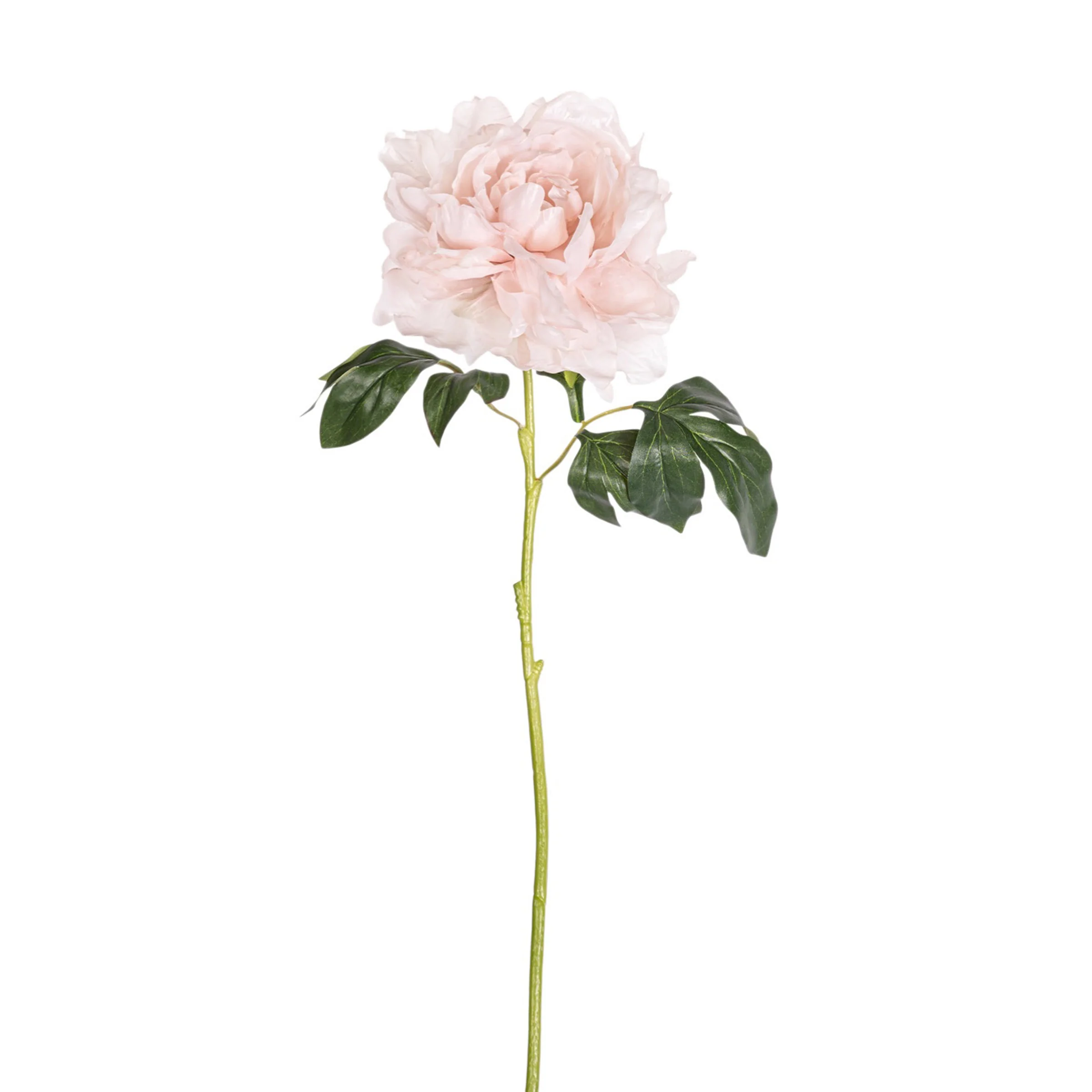 24" Peony Stem - Light Pink   FL1097 - Image 2