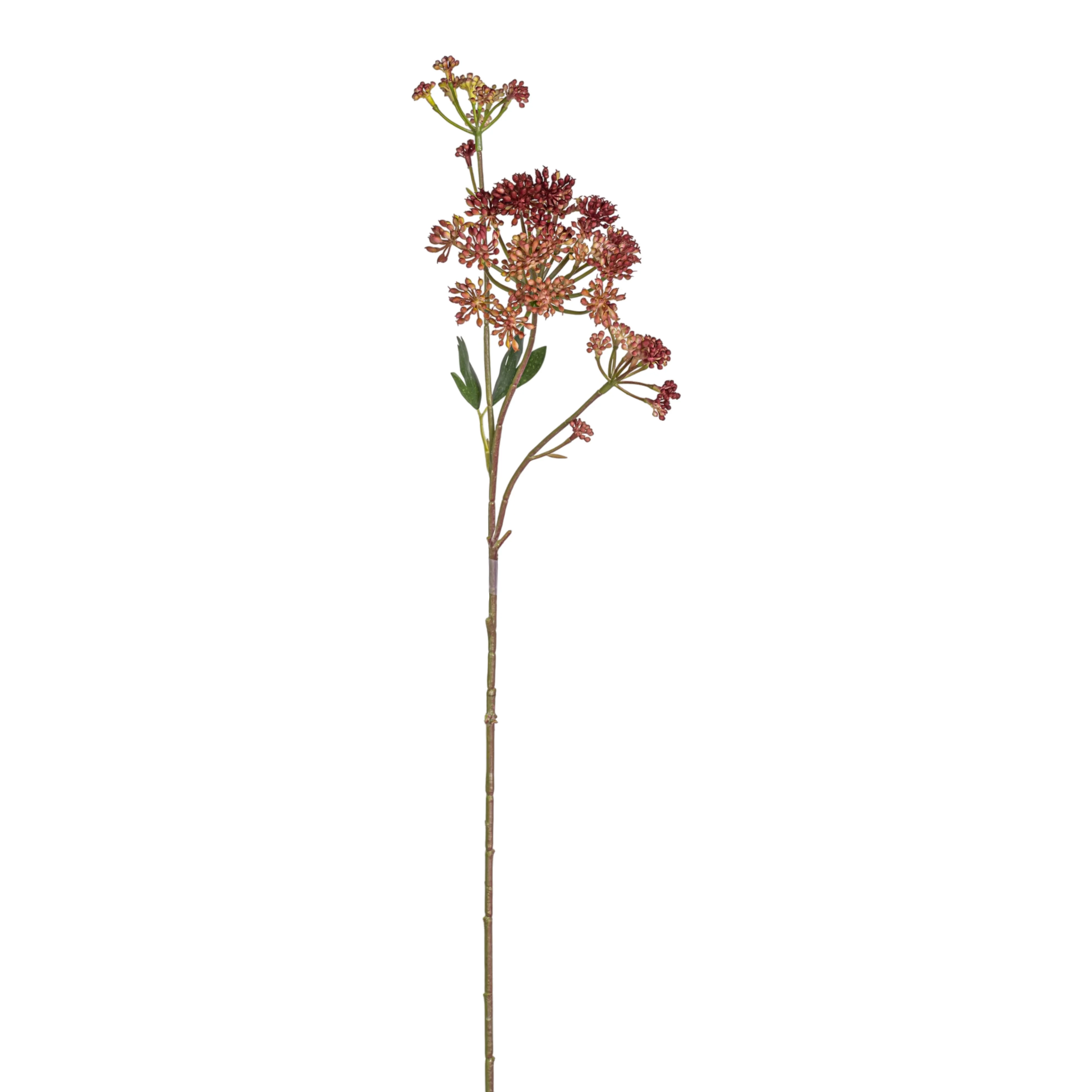 24.5" Angelica Flower Stem   FL1088