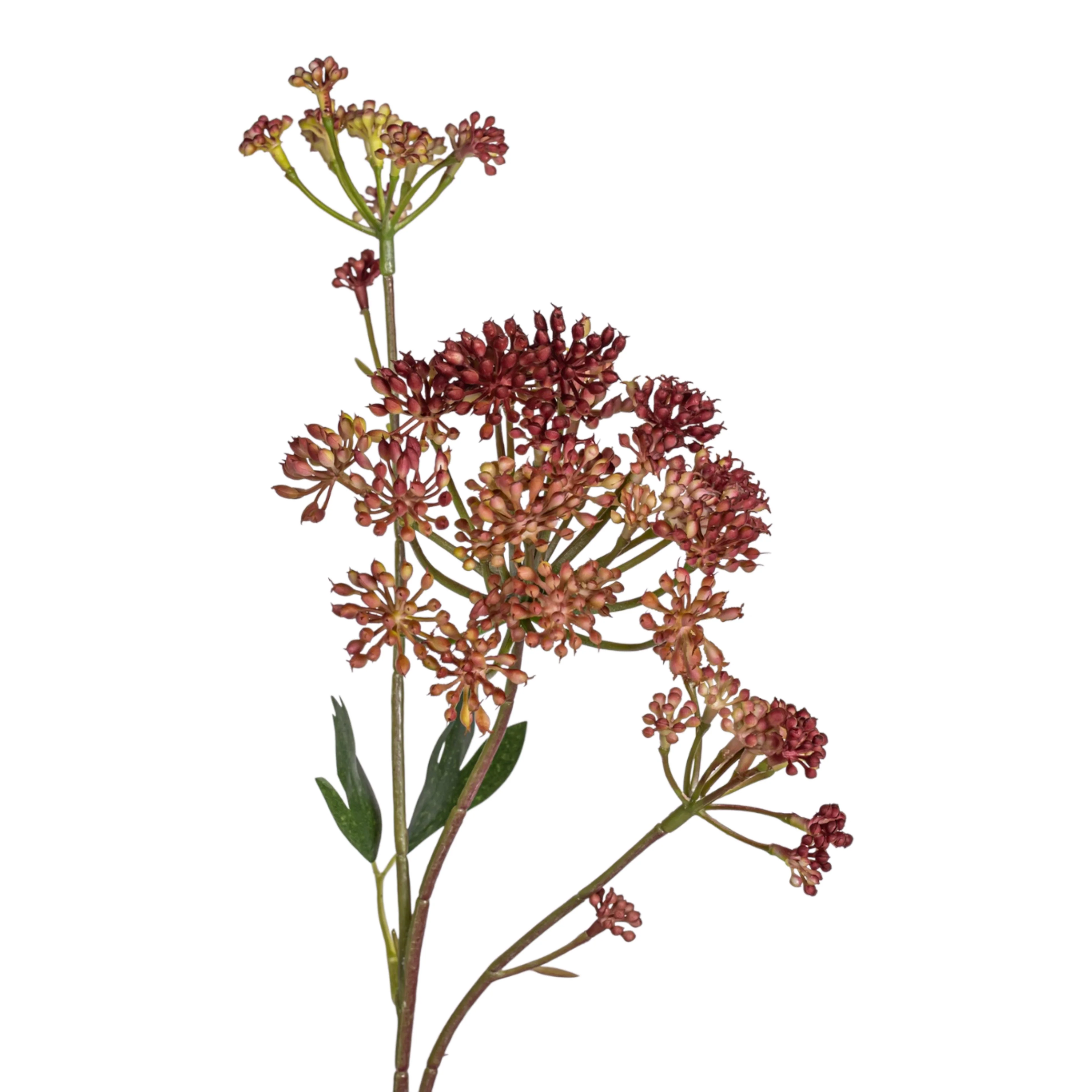 24.5" Angelica Flower Stem   FL1088 - Image 2