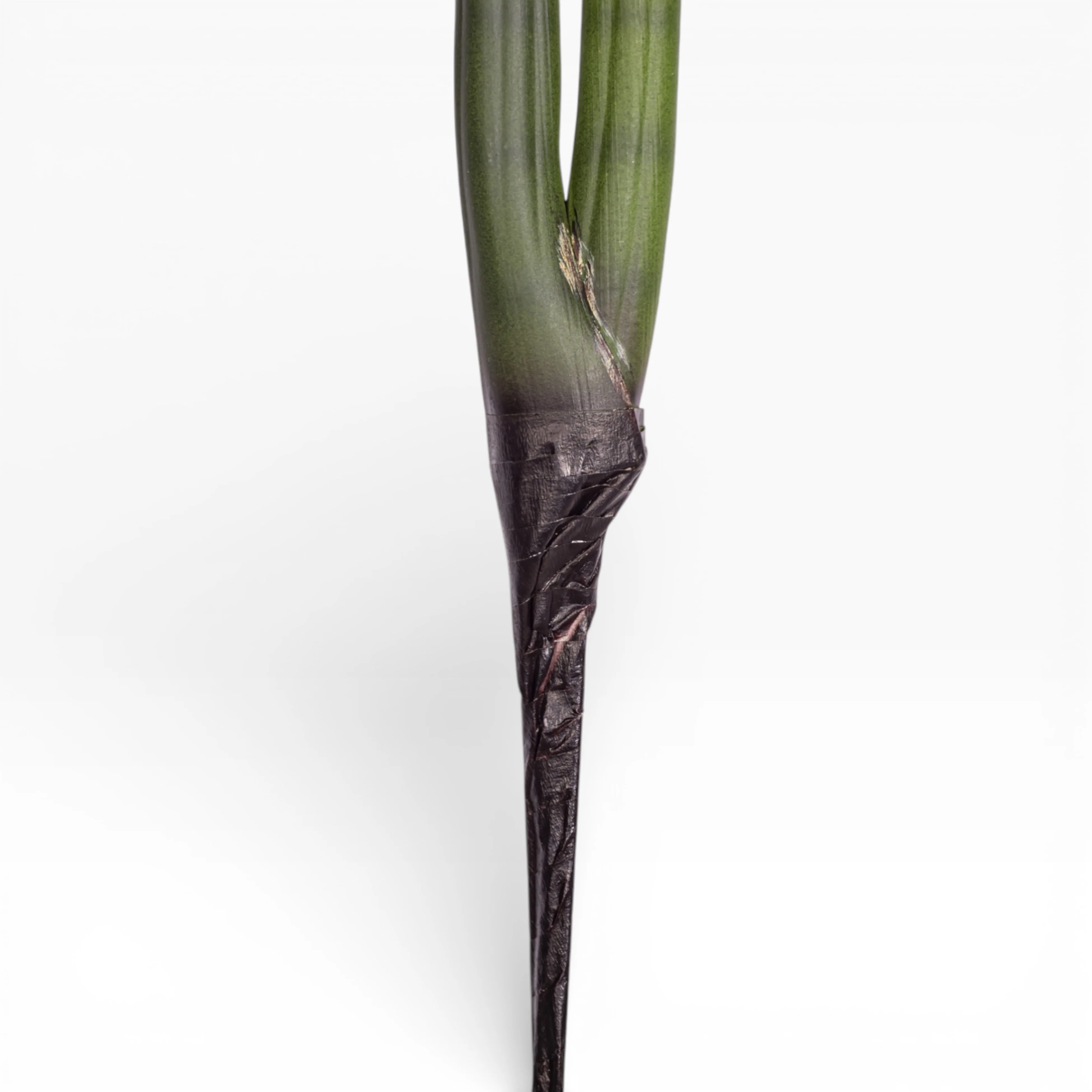 24.5" Sanseveria Stem   ST1199 - Image 3
