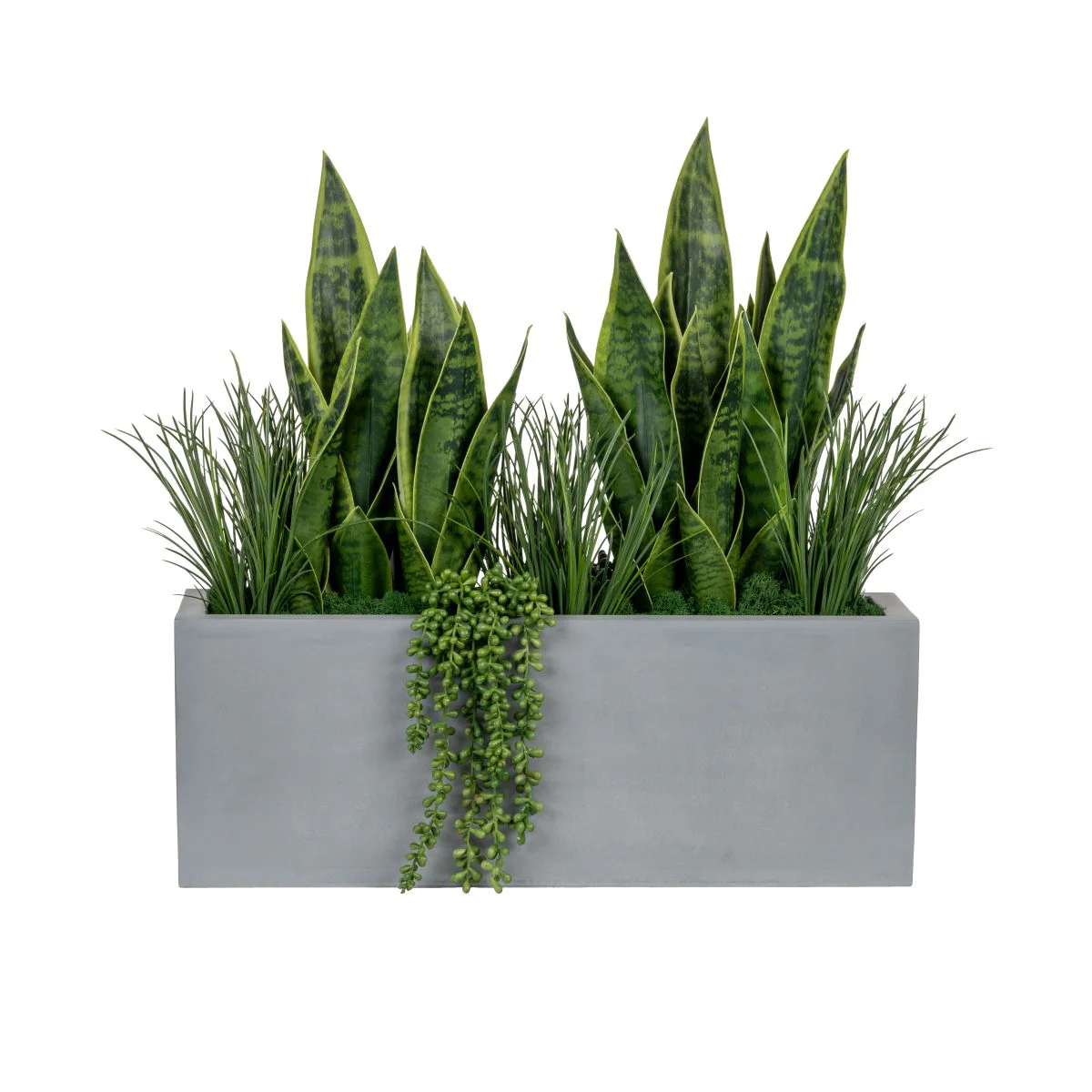 24" Grey Manhattan Planter with Sansevieria Arrangement AR1817