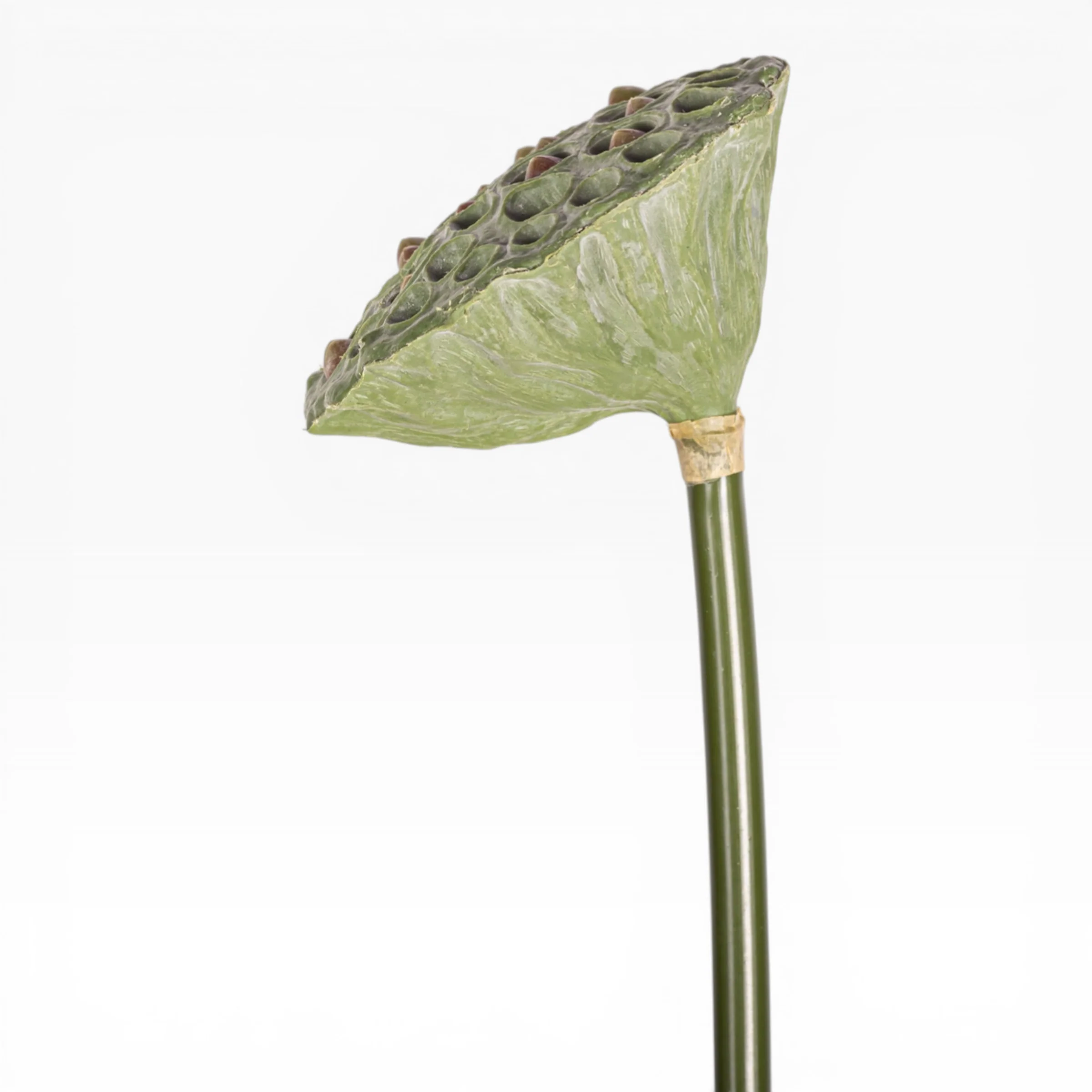 24" Lotus Seed Stem  ST1223 - Image 3