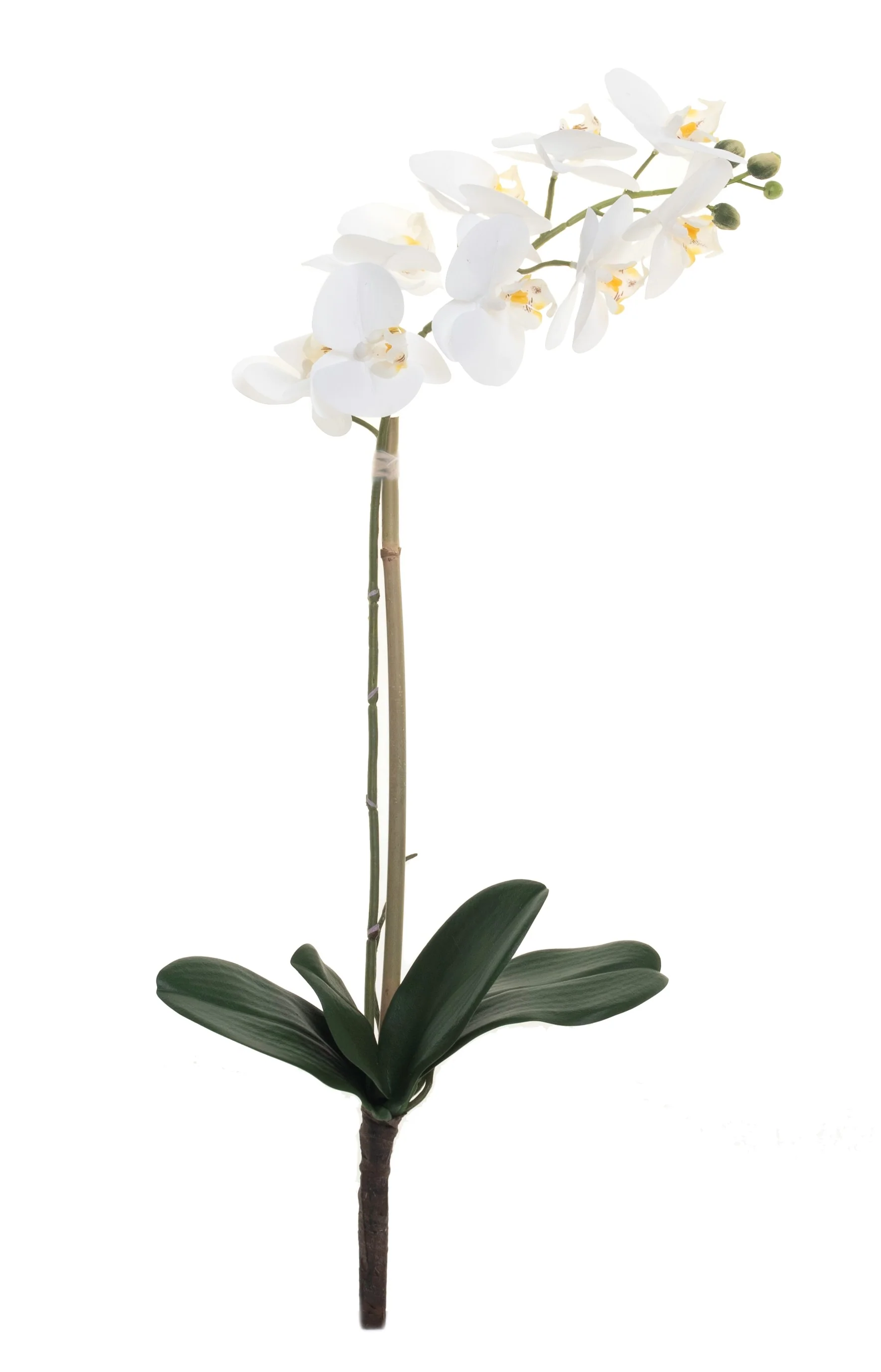 27" Real Touch Phalaenopsis Orchid - White FL1026