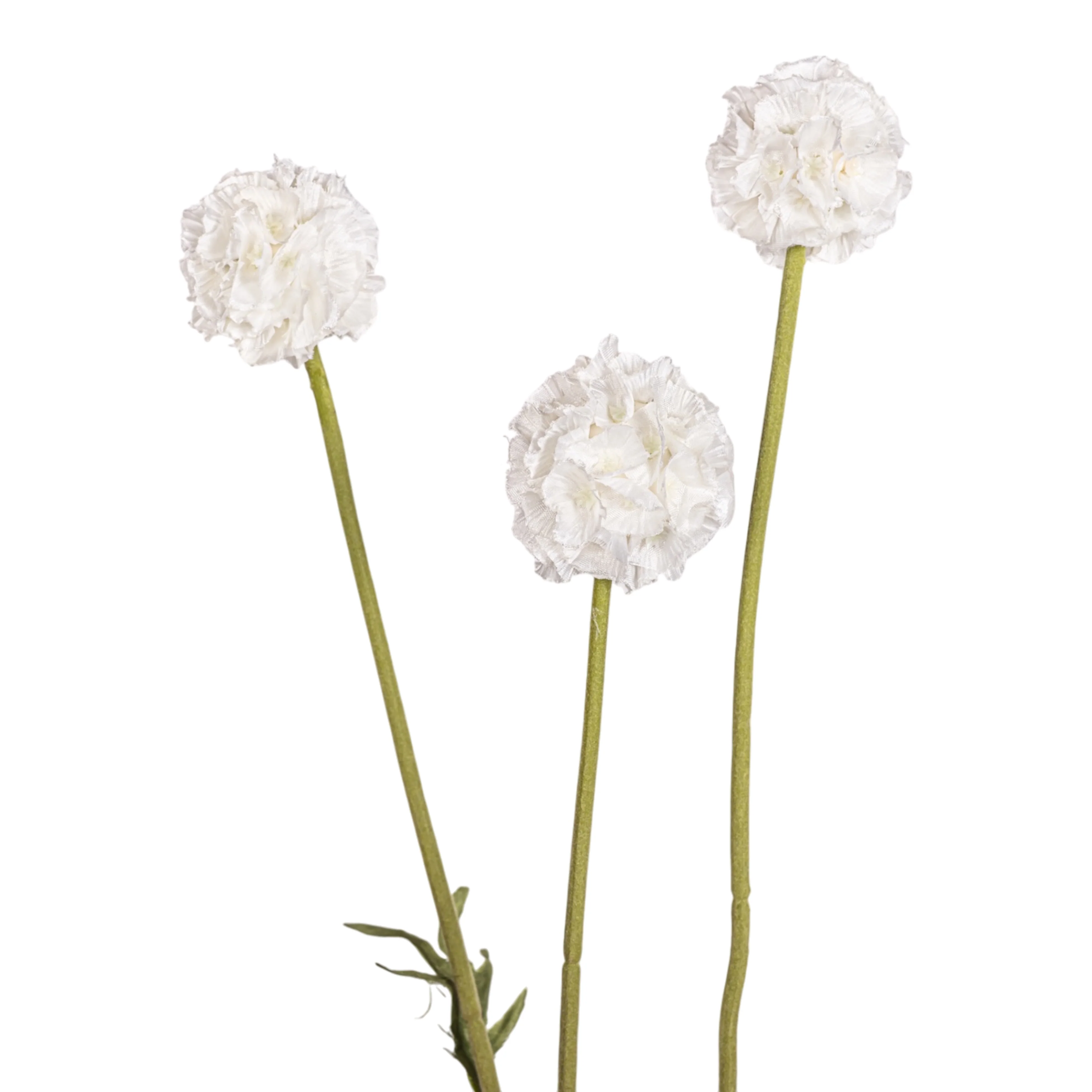 24" White Scabiosa Pod Stem   FL1085 - Image 2