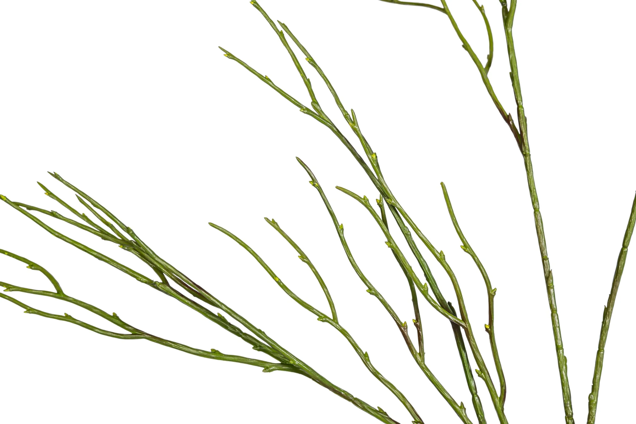 25.5" Pencil Stem   ST1221 - Image 2