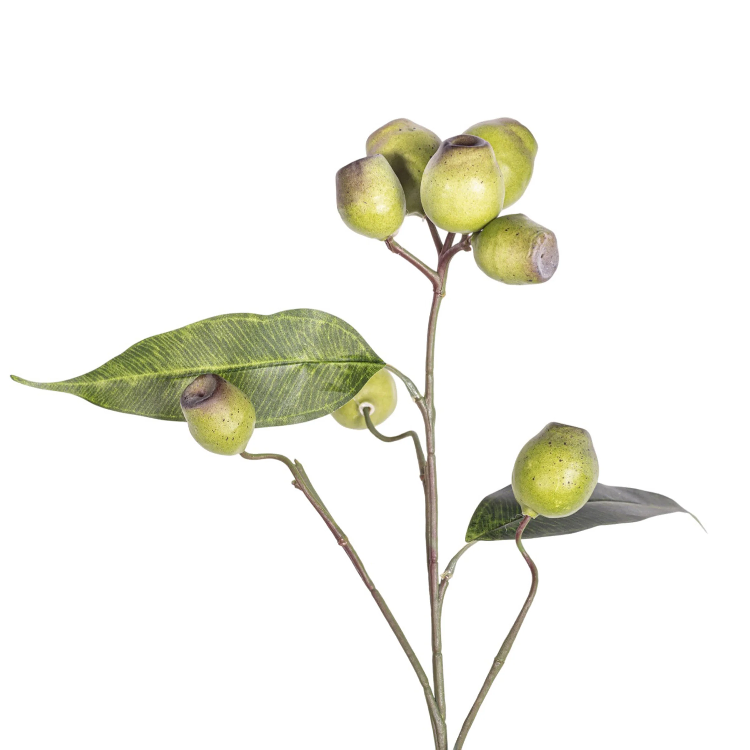 25" Eucalyptus Seed Spray Stem   ST1225