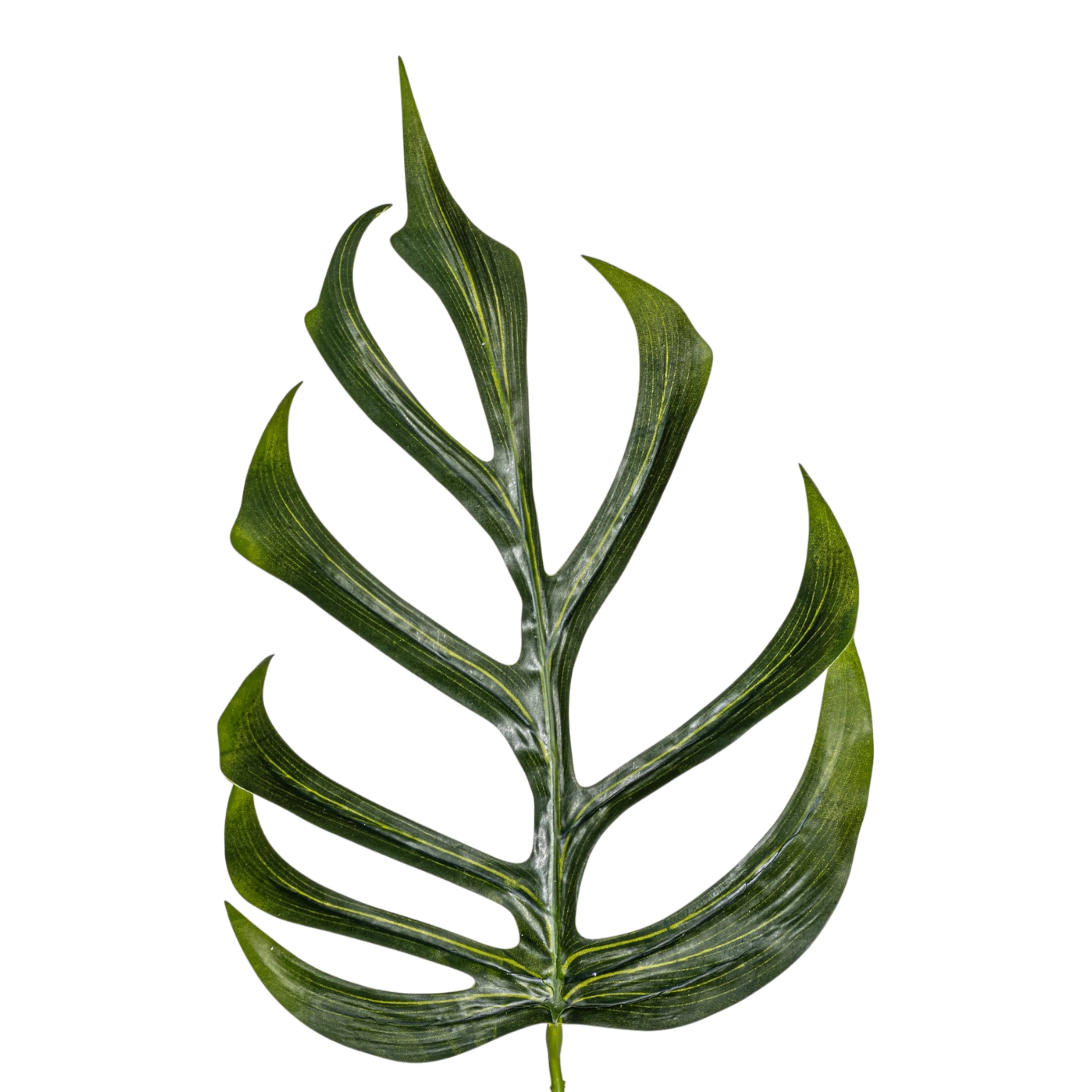 25.5" Monstera Dilacerata Leaf Stem   ST1215 - Image 2