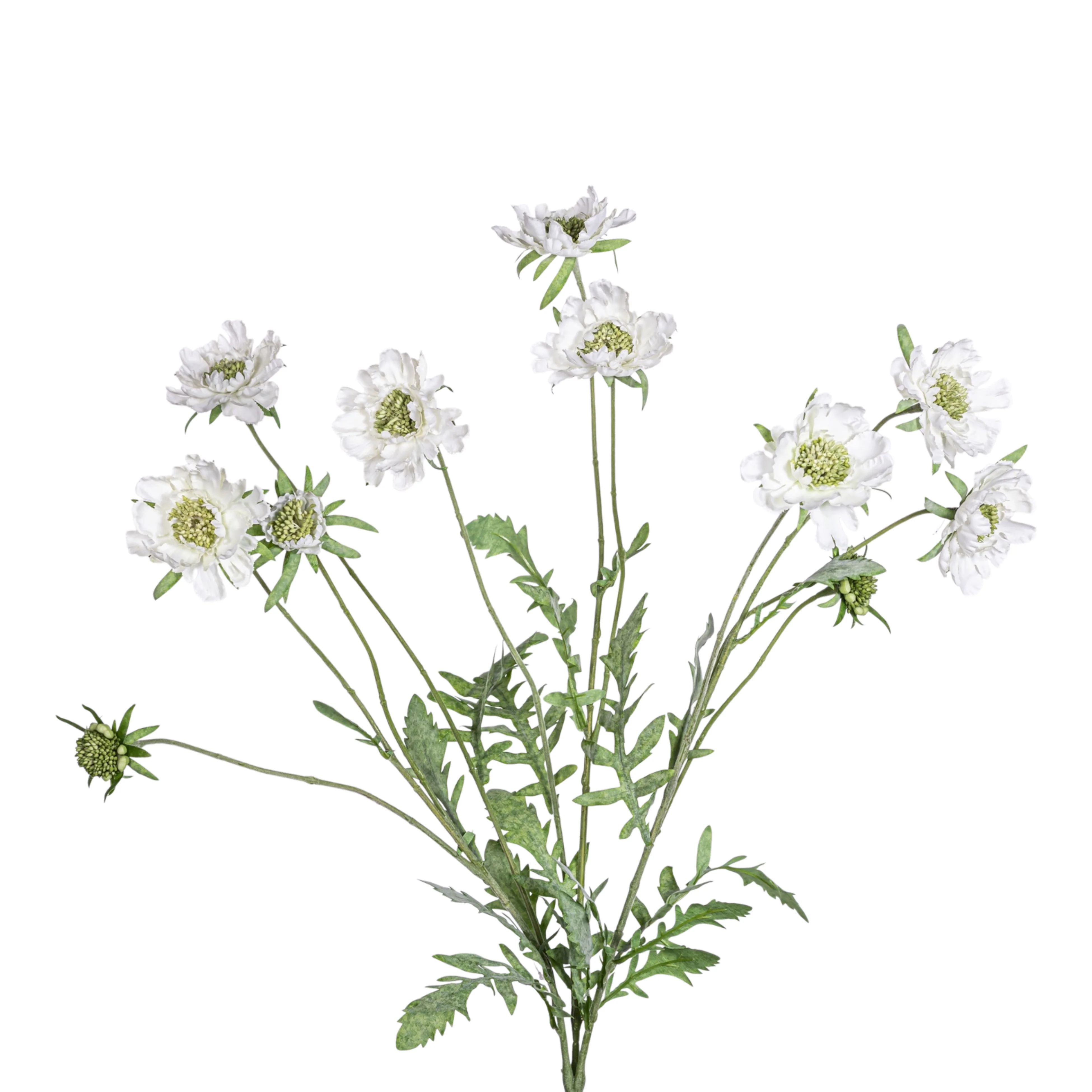 25" Scabiosa Flower Spray FL1080