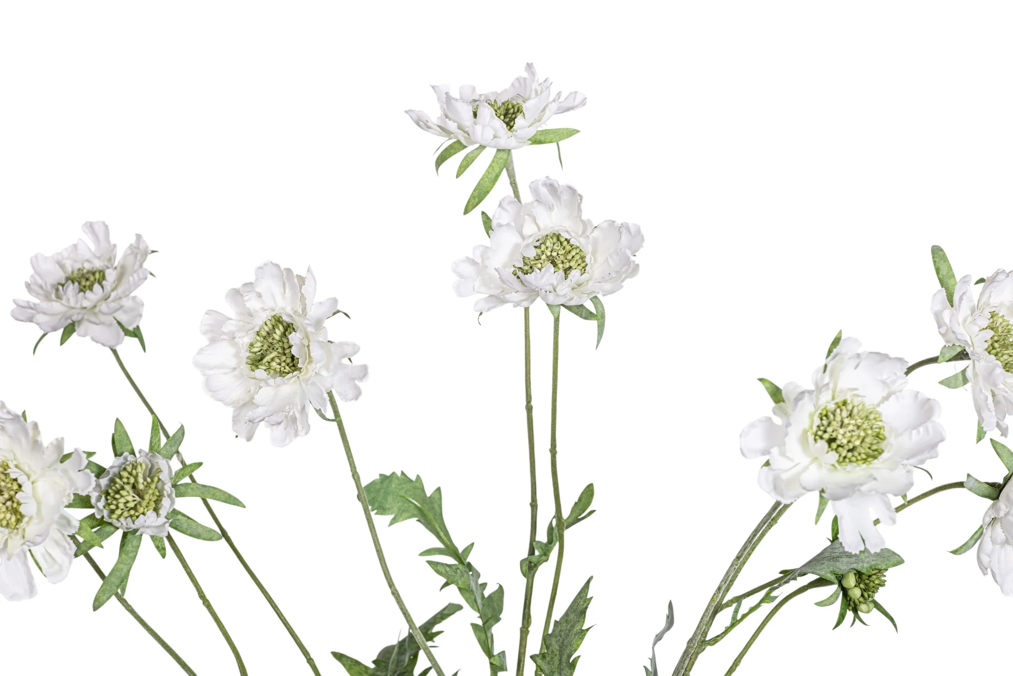 25" Scabiosa Flower Spray FL1080 - Image 2