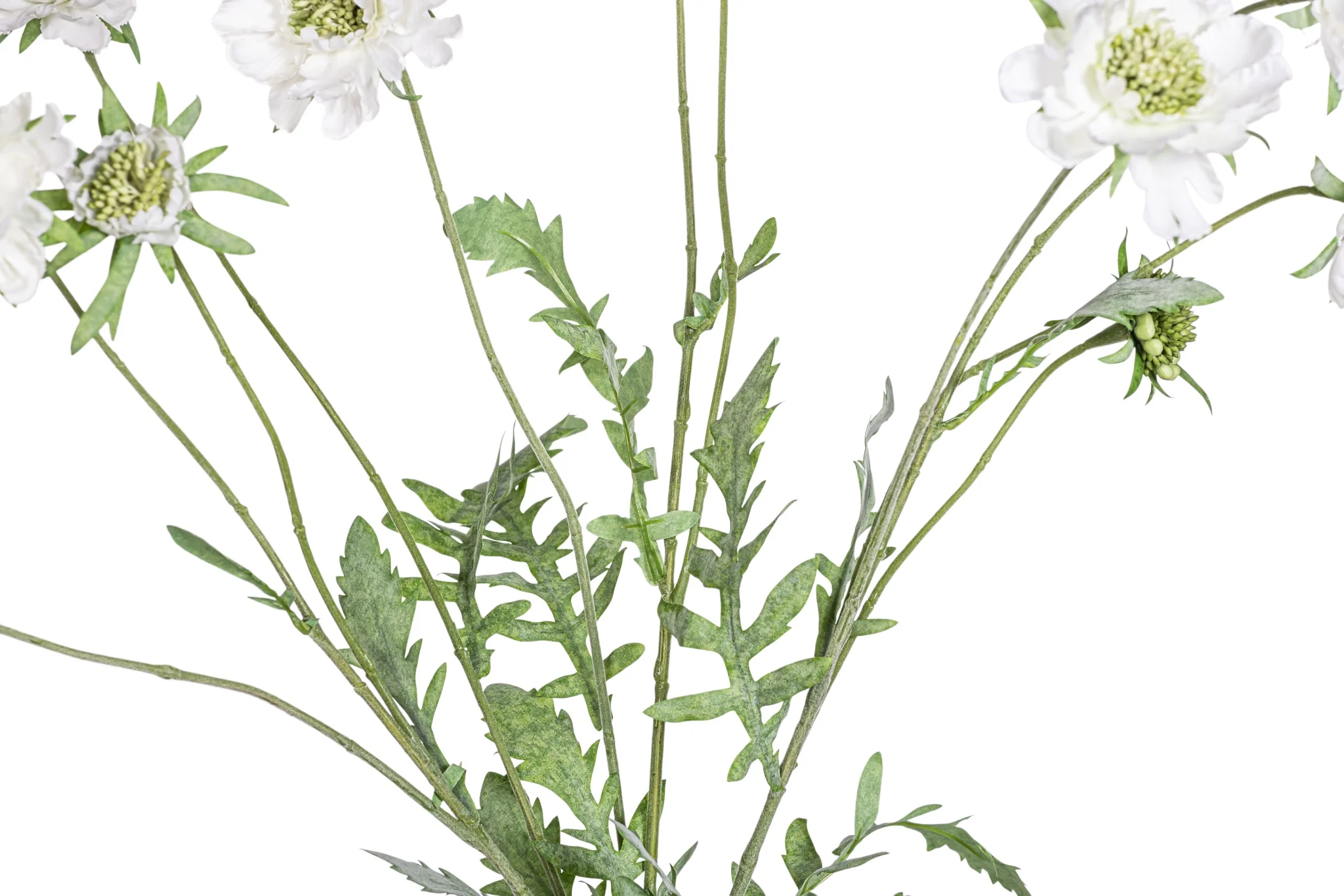 25" Scabiosa Flower Spray FL1080 - Image 3