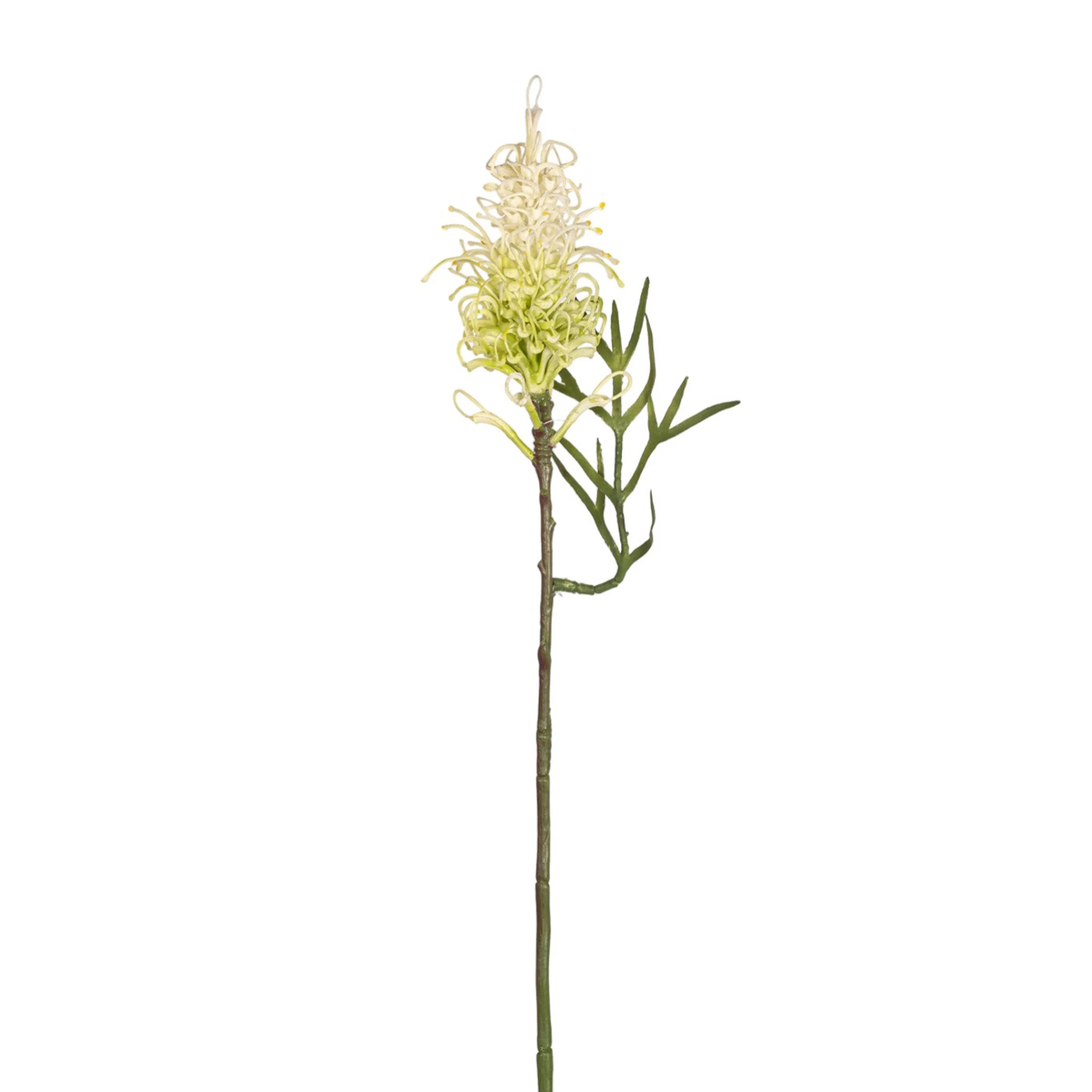 25" Grevillea Protea Stem   FL1071 - Image 2