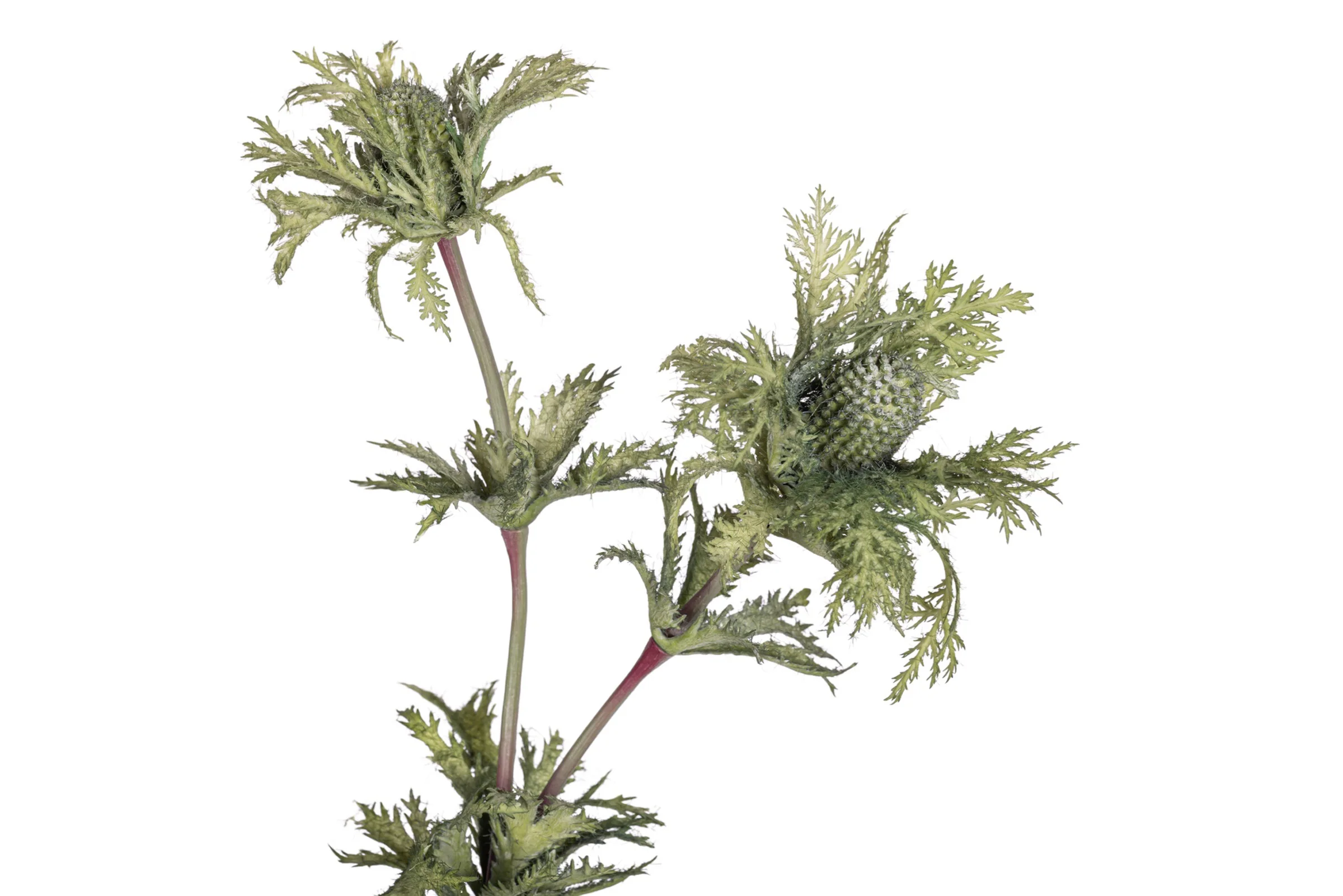 27" Thistle Spray Stem   ST1220 - Image 2